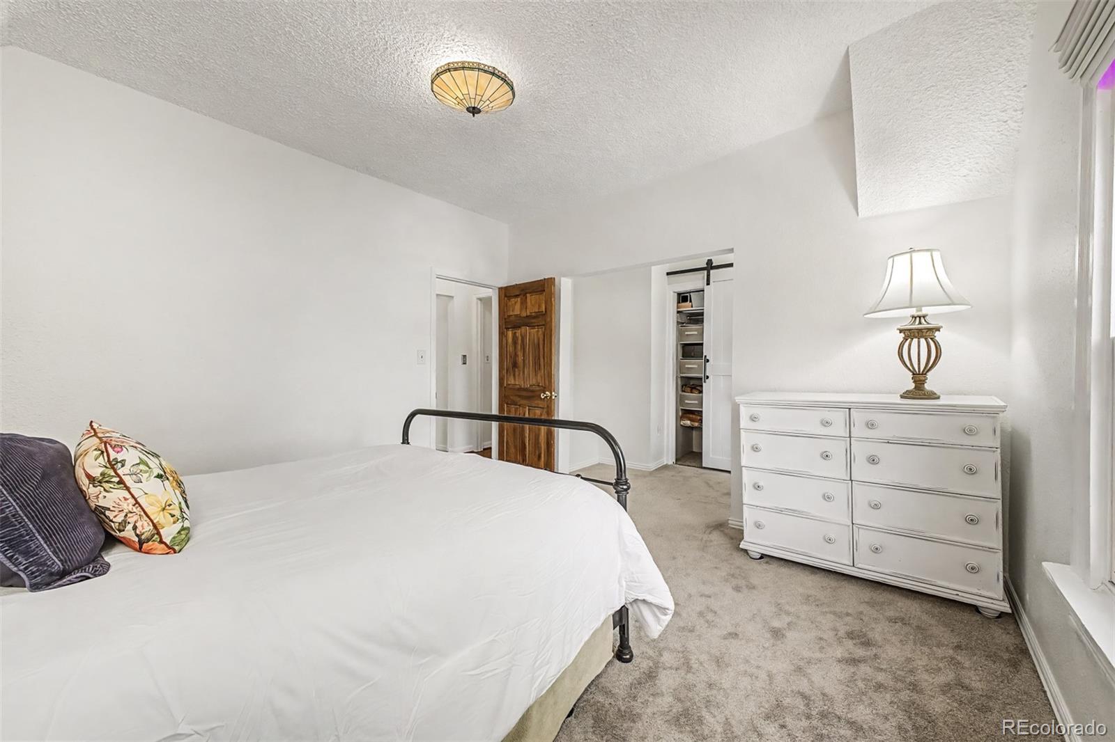 MLS Image #22 for 2822  hazel court,denver, Colorado