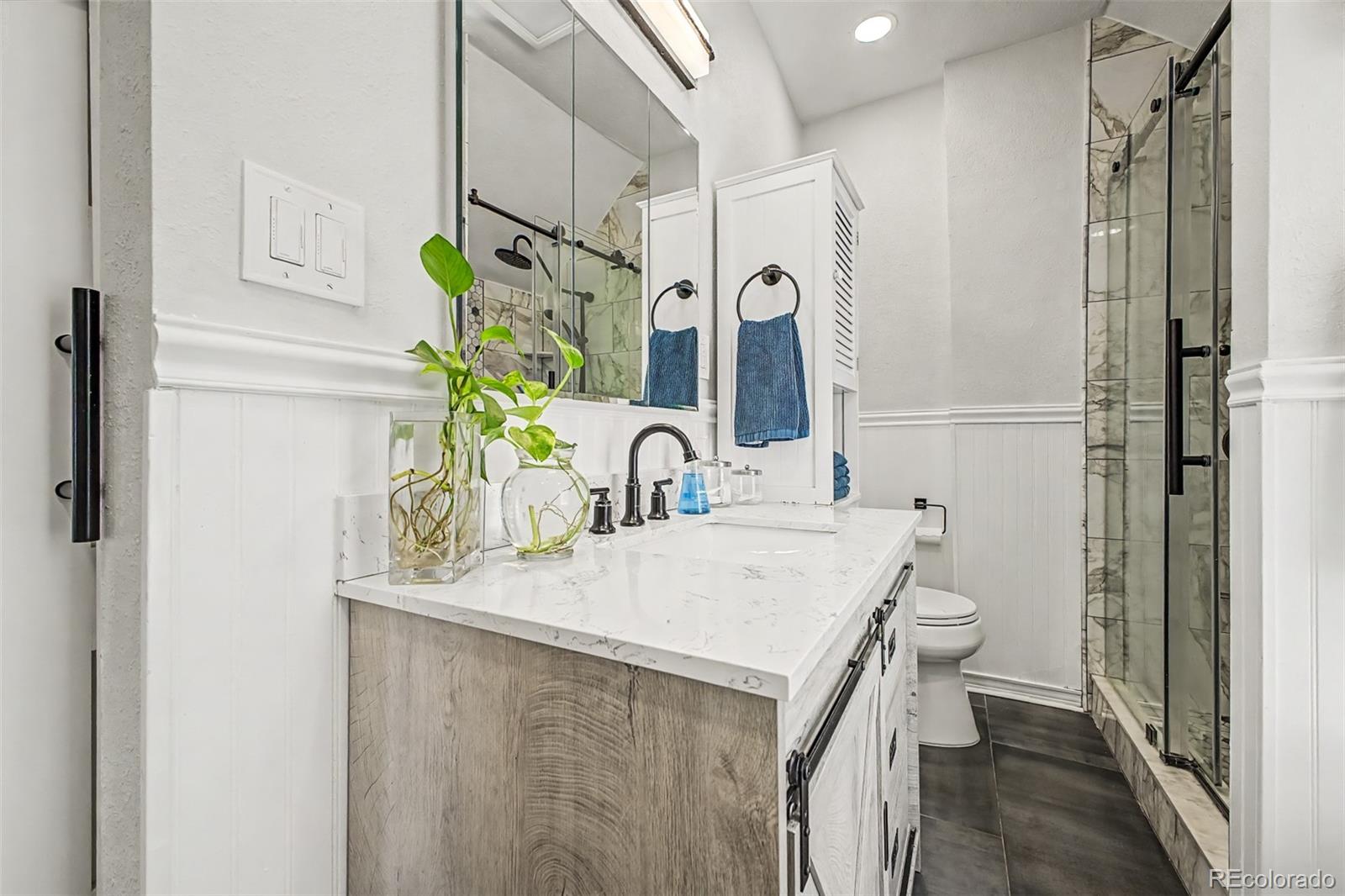 MLS Image #27 for 2822  hazel court,denver, Colorado