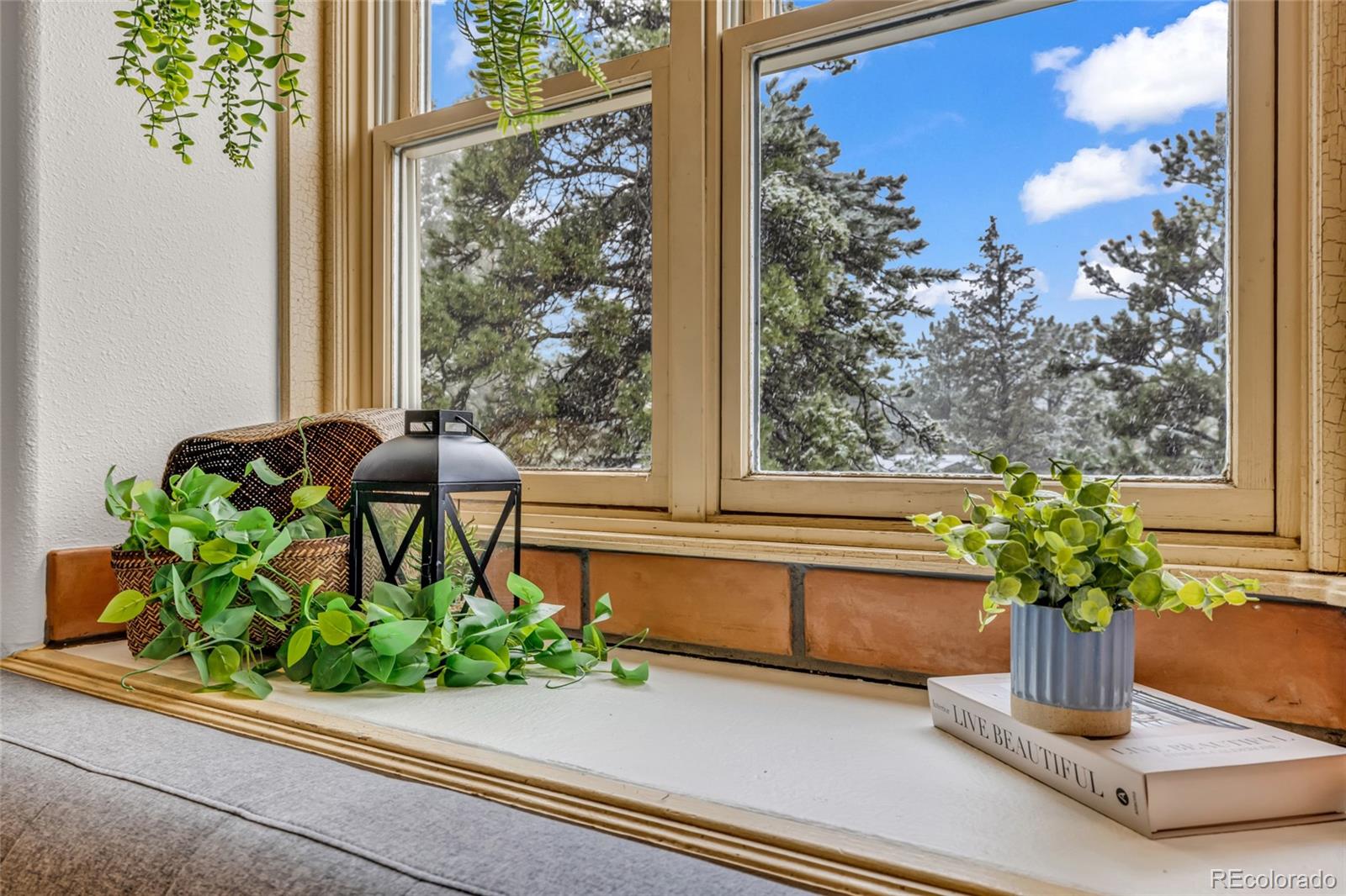 MLS Image #10 for 4771 s breakaway trail,evergreen, Colorado