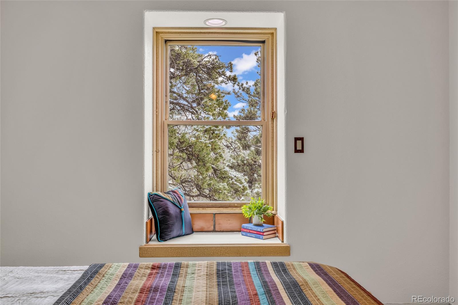 MLS Image #13 for 4771 s breakaway trail,evergreen, Colorado
