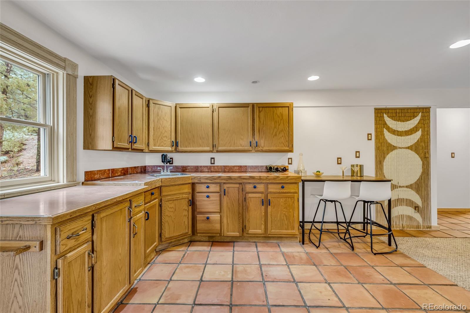 MLS Image #24 for 4771 s breakaway trail,evergreen, Colorado