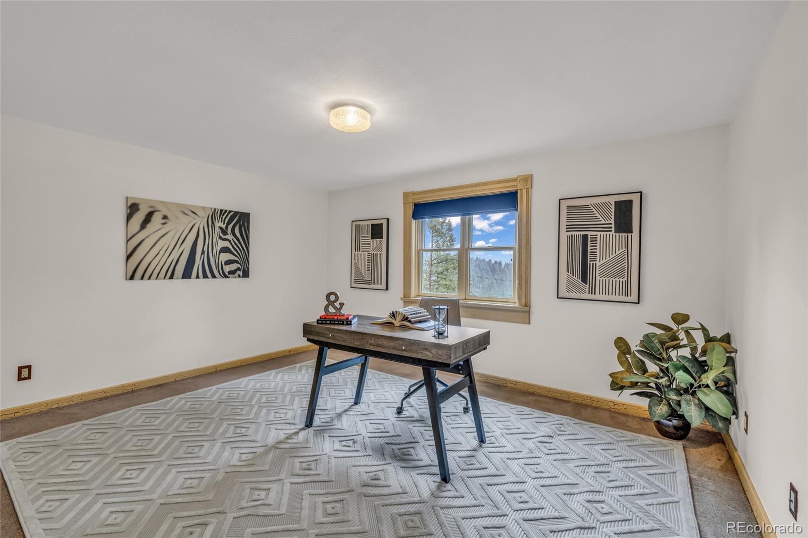 MLS Image #25 for 4771 s breakaway trail,evergreen, Colorado