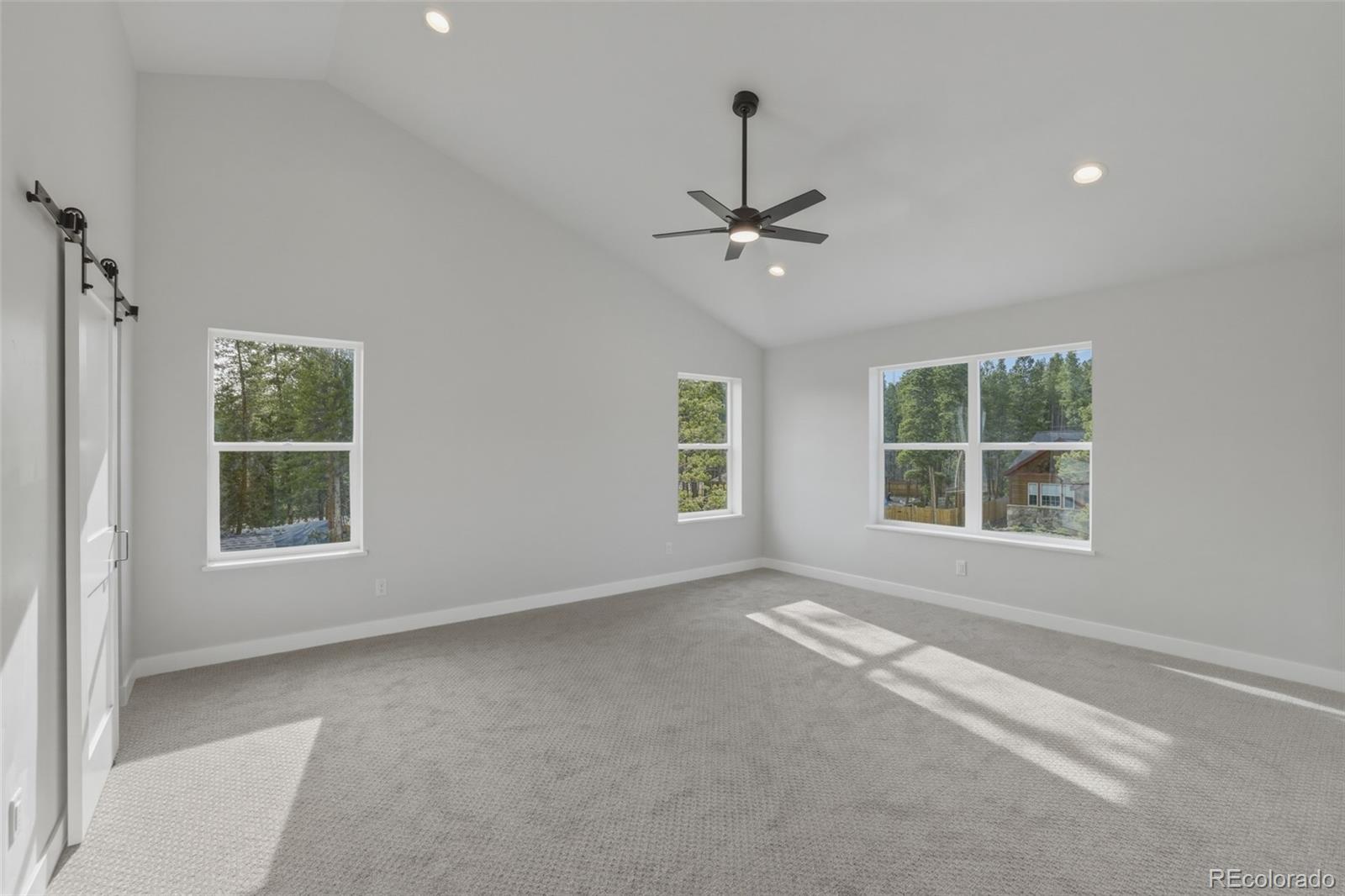 MLS Image #16 for 920  copper drive,leadville, Colorado