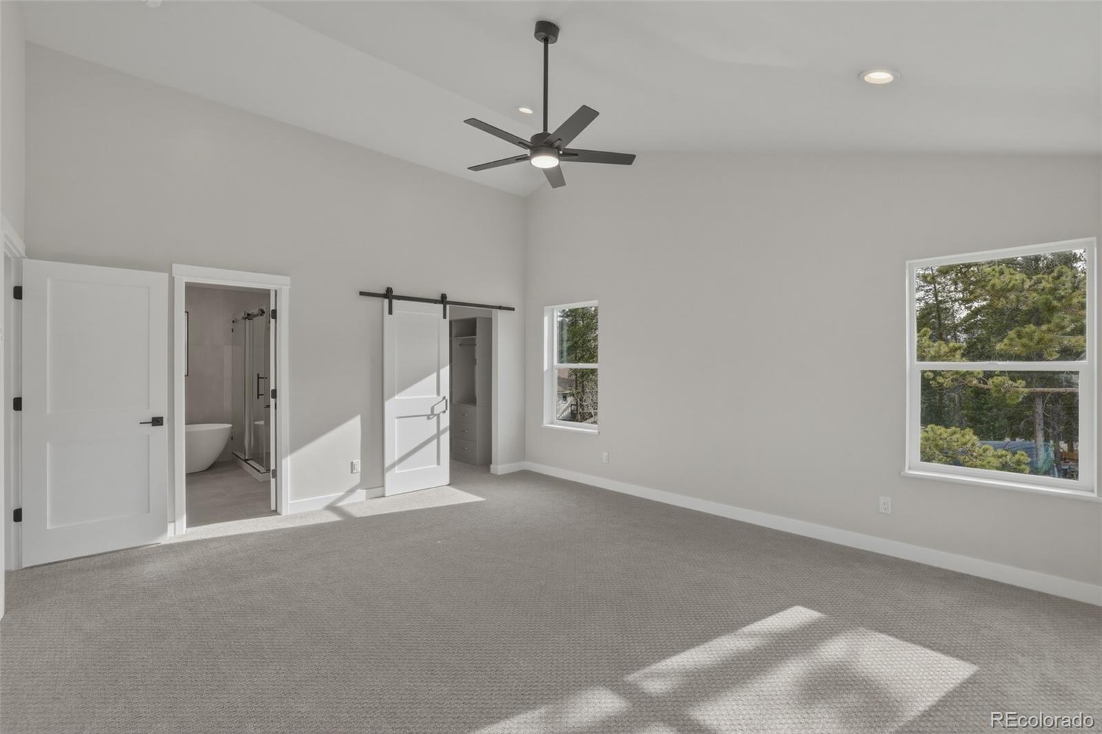 MLS Image #17 for 920  copper drive,leadville, Colorado