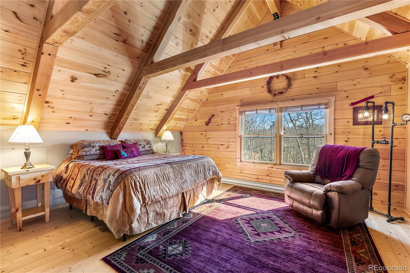 MLS Image #11 for 1059  sheep ridge road,fairplay, Colorado