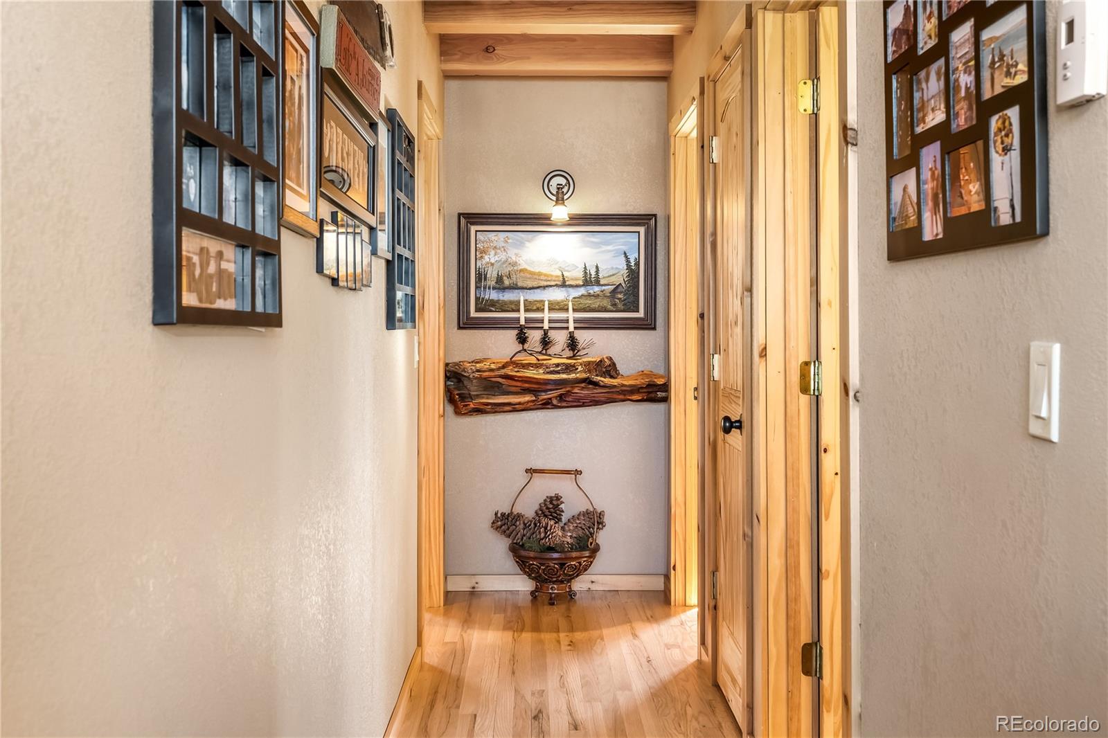 MLS Image #16 for 1059  sheep ridge road,fairplay, Colorado