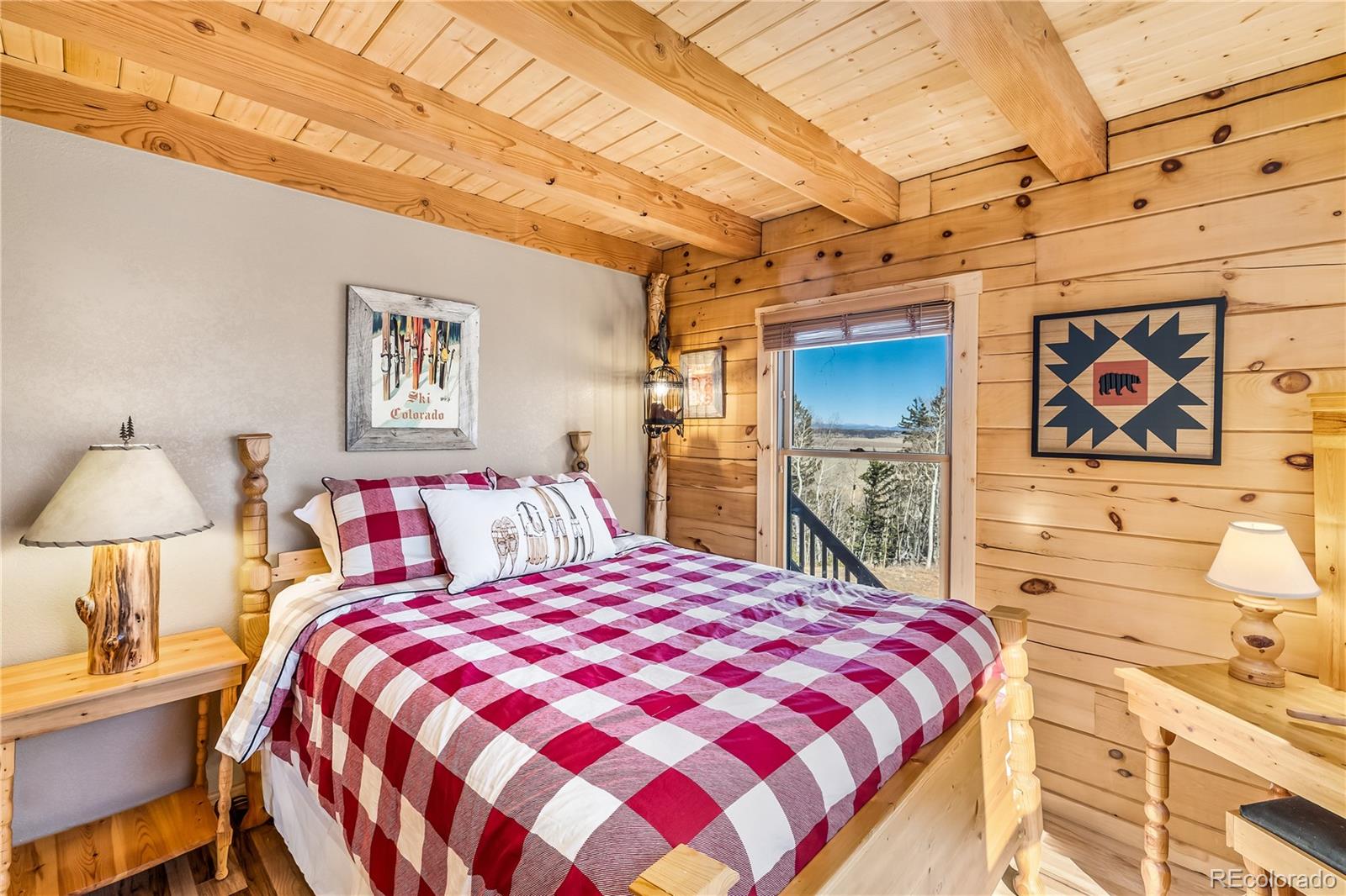 MLS Image #19 for 1059  sheep ridge road,fairplay, Colorado