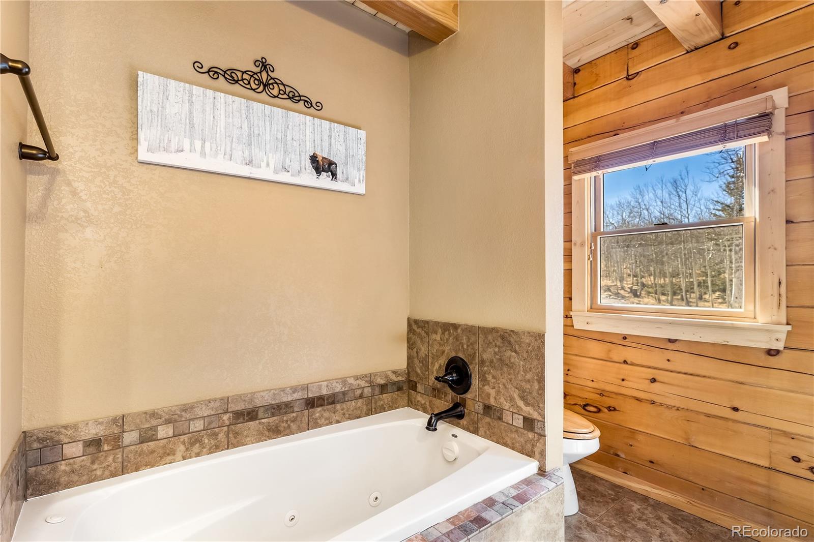 MLS Image #21 for 1059  sheep ridge road,fairplay, Colorado