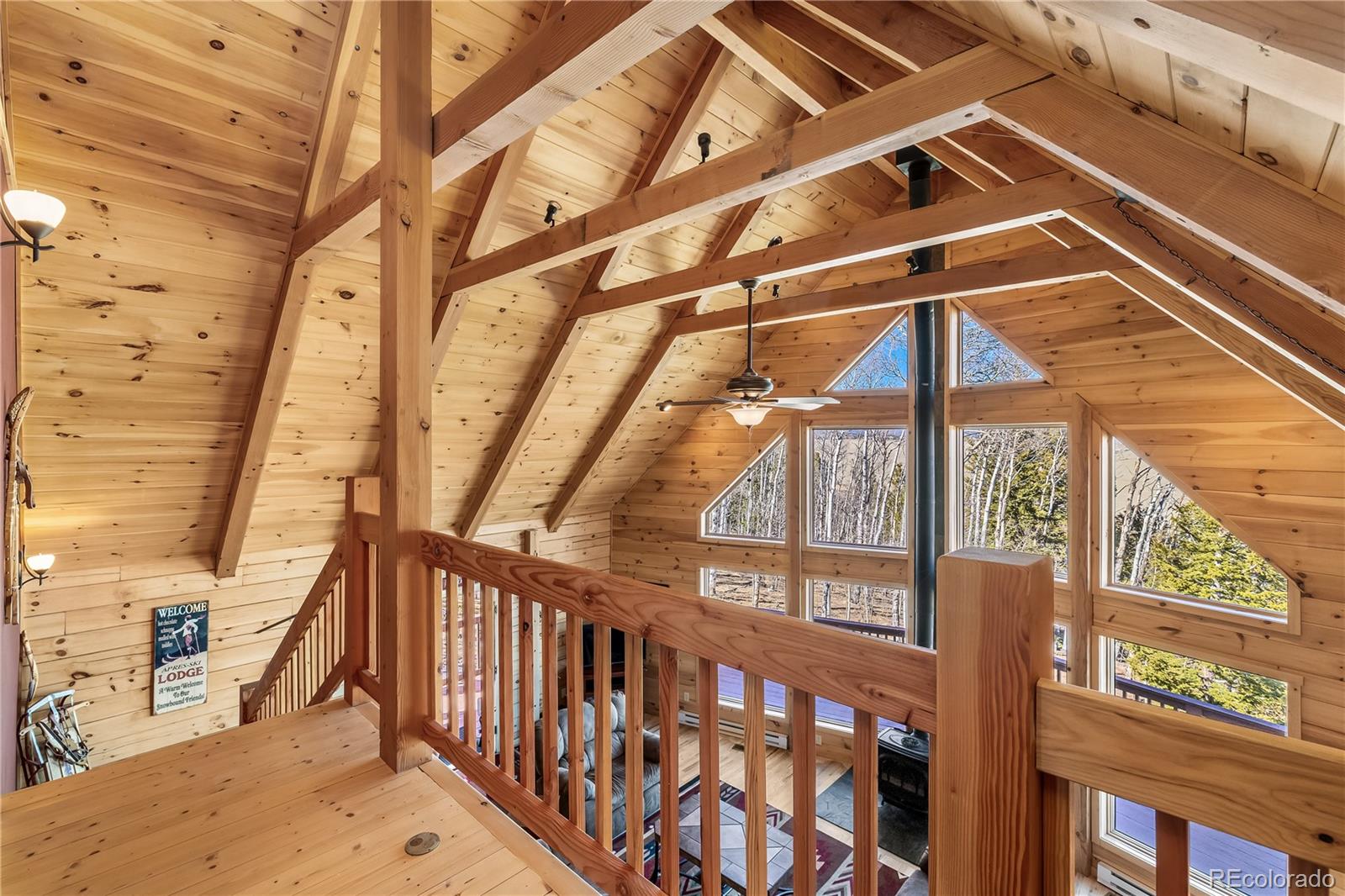MLS Image #22 for 1059  sheep ridge road,fairplay, Colorado