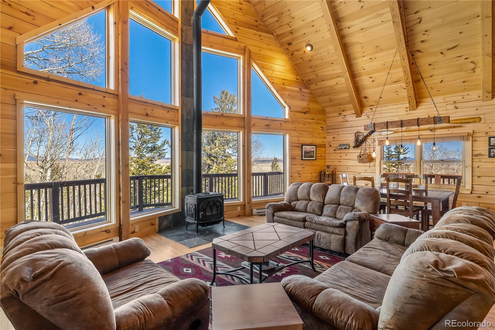 MLS Image #23 for 1059  sheep ridge road,fairplay, Colorado