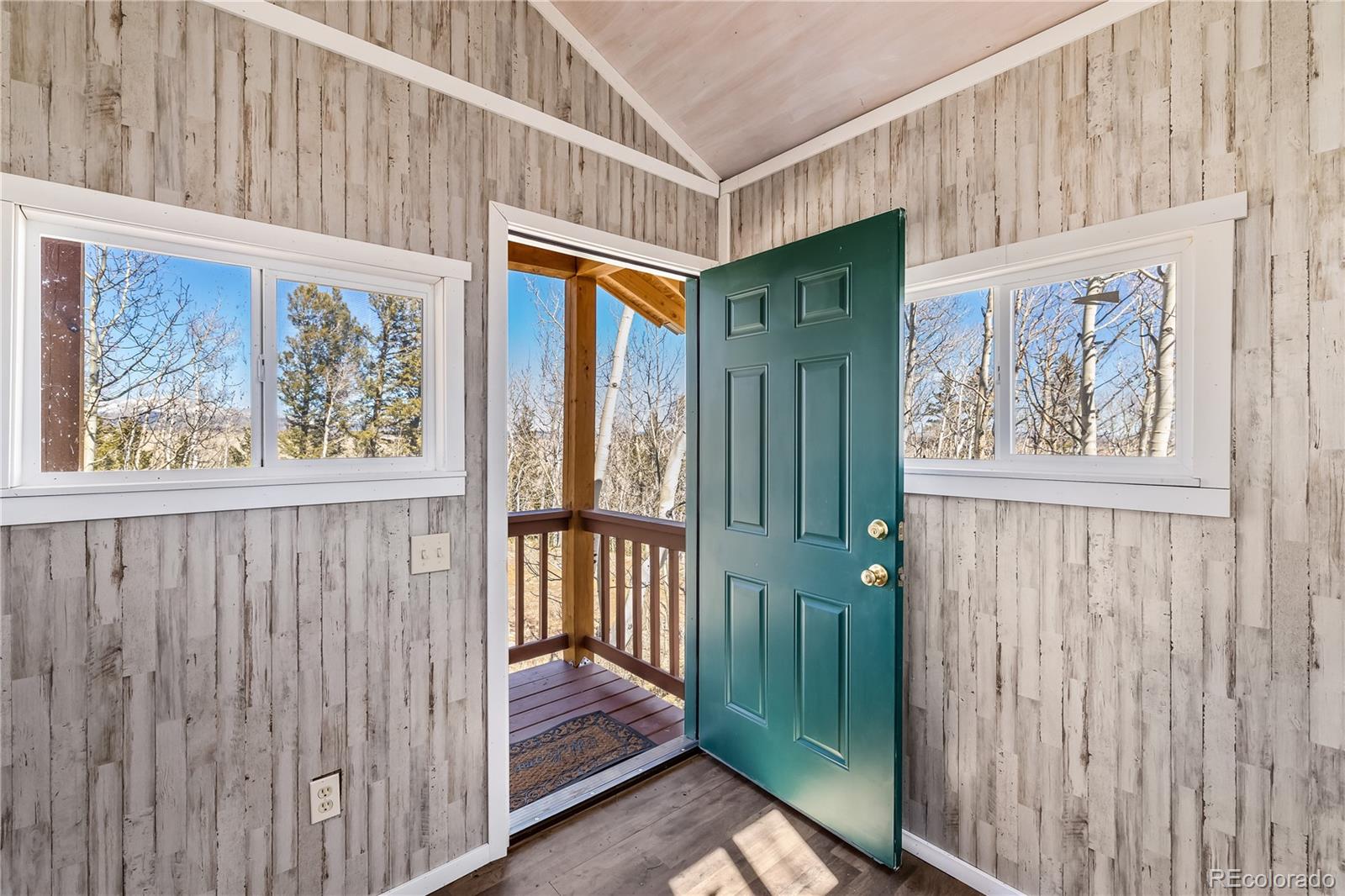 MLS Image #25 for 1059  sheep ridge road,fairplay, Colorado