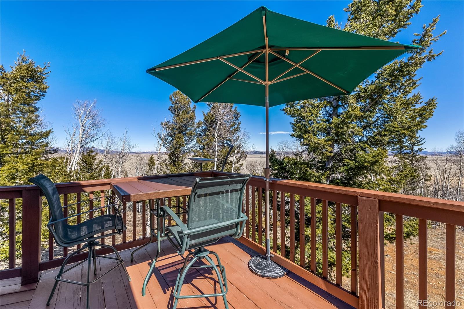 MLS Image #26 for 1059  sheep ridge road,fairplay, Colorado