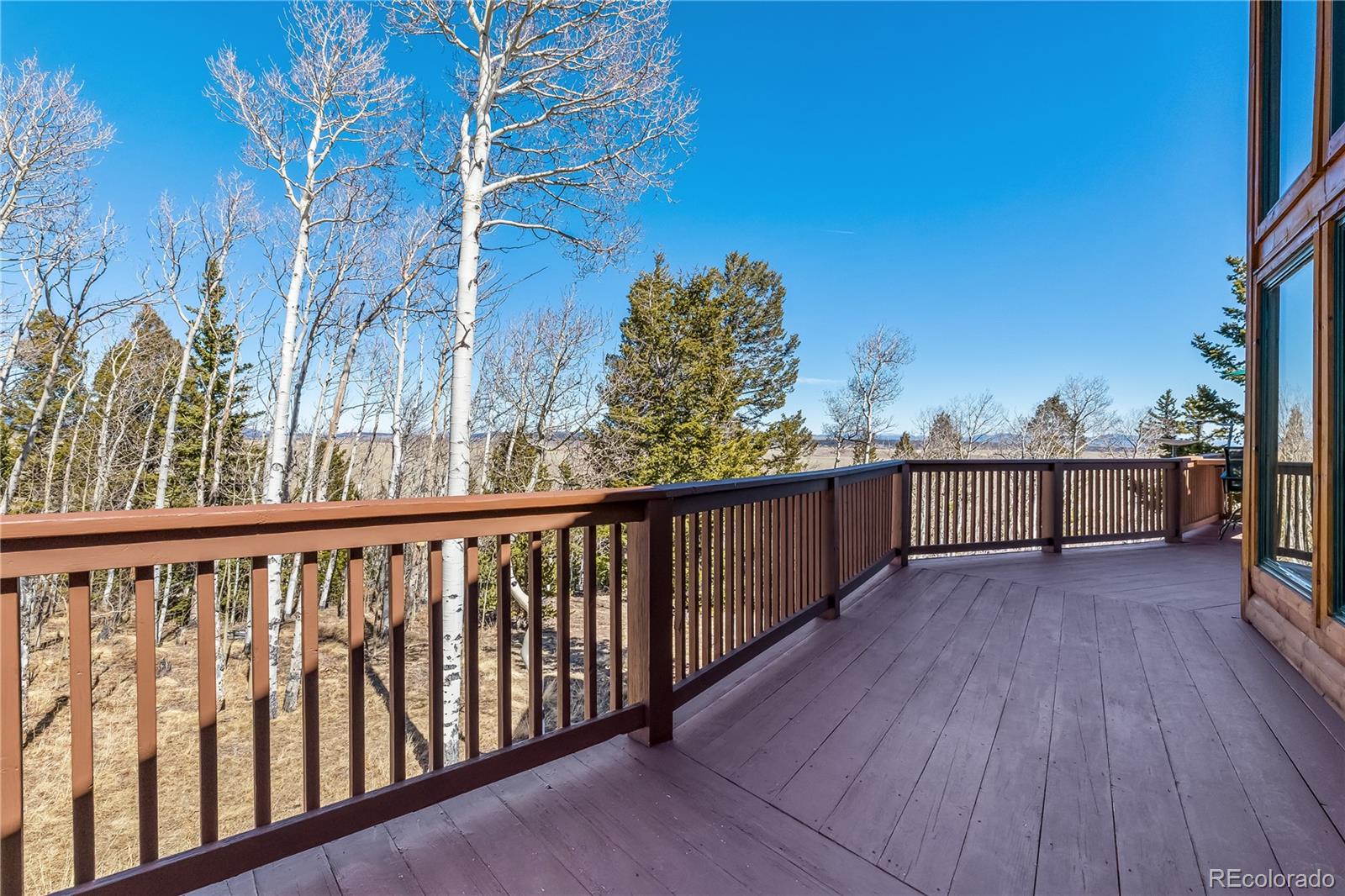 MLS Image #27 for 1059  sheep ridge road,fairplay, Colorado