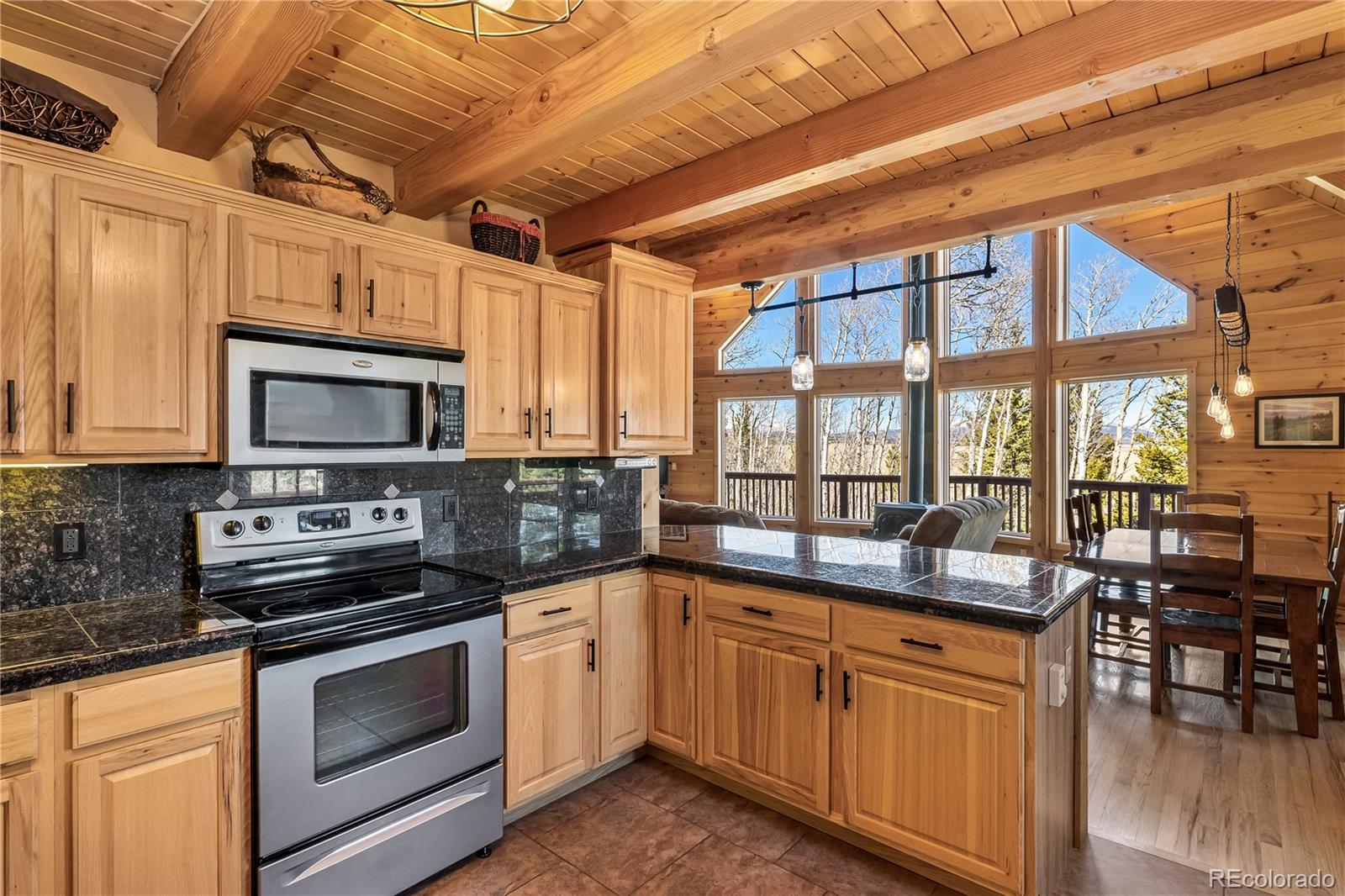 MLS Image #7 for 1059  sheep ridge road,fairplay, Colorado