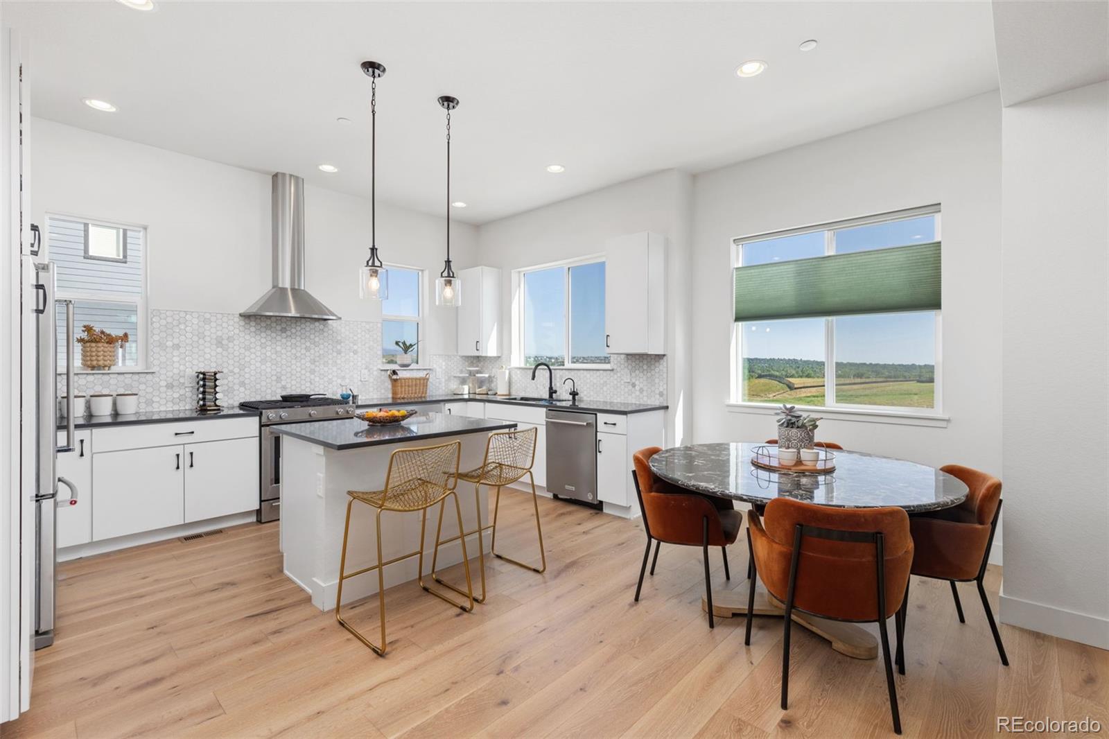 MLS Image #8 for 2348  central park way,superior, Colorado