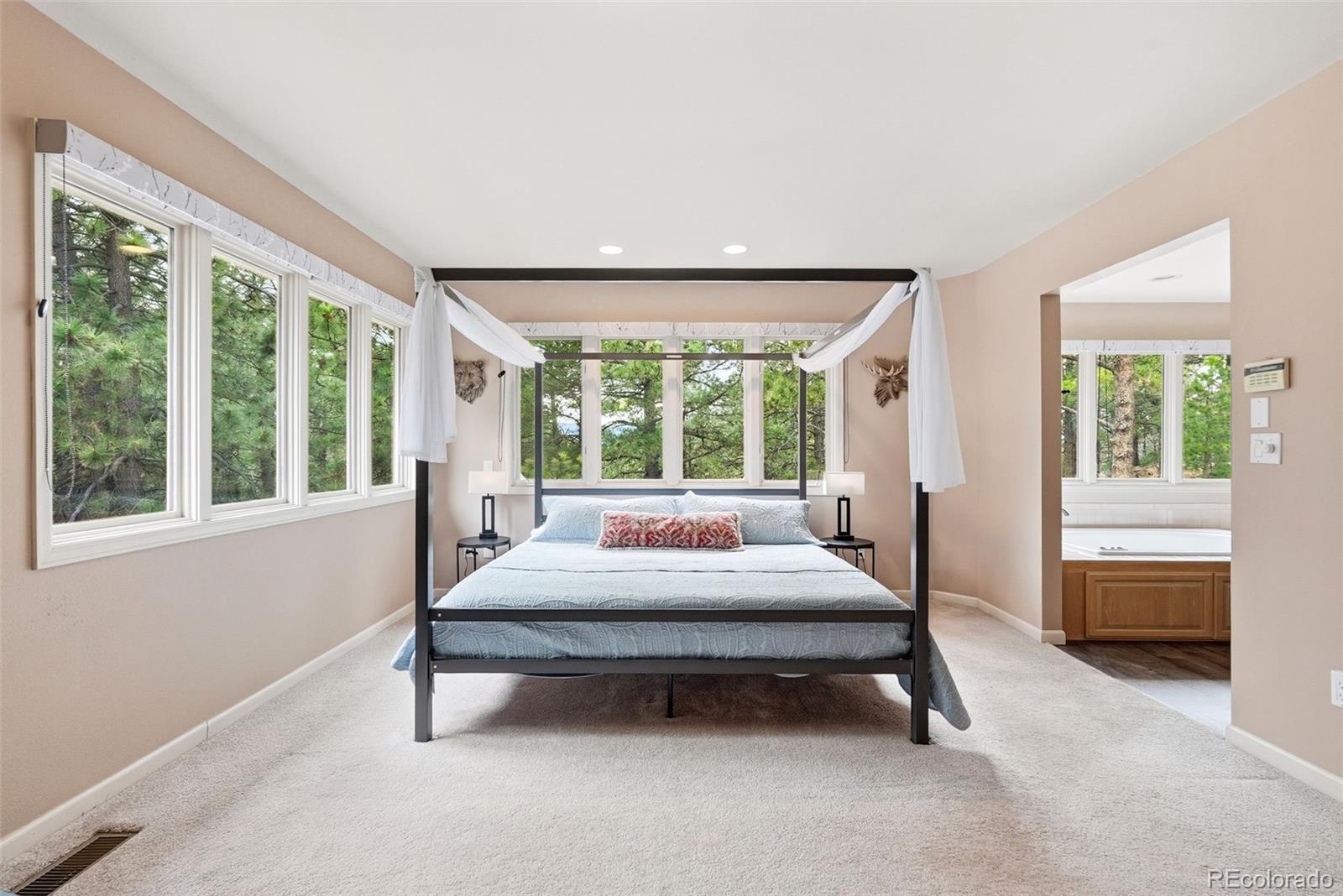 MLS Image #20 for 17340  caribou drive,monument, Colorado