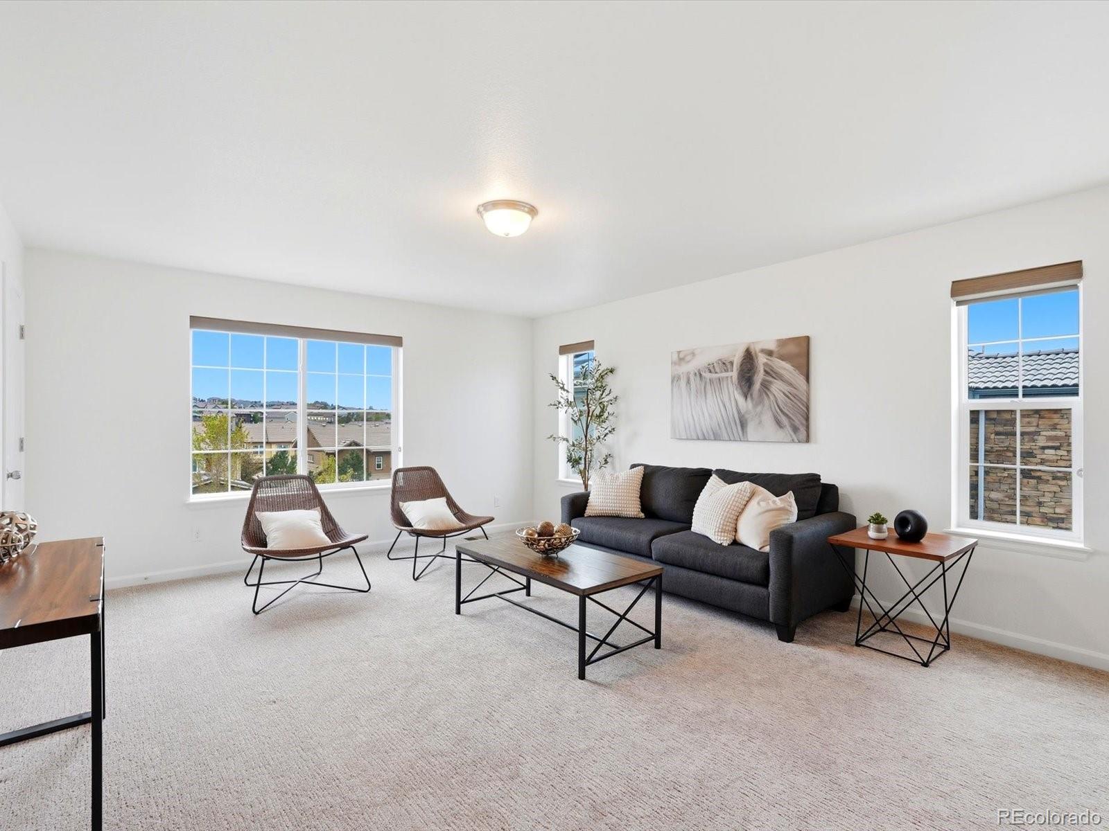 MLS Image #40 for 690  tiger lily way,highlands ranch, Colorado