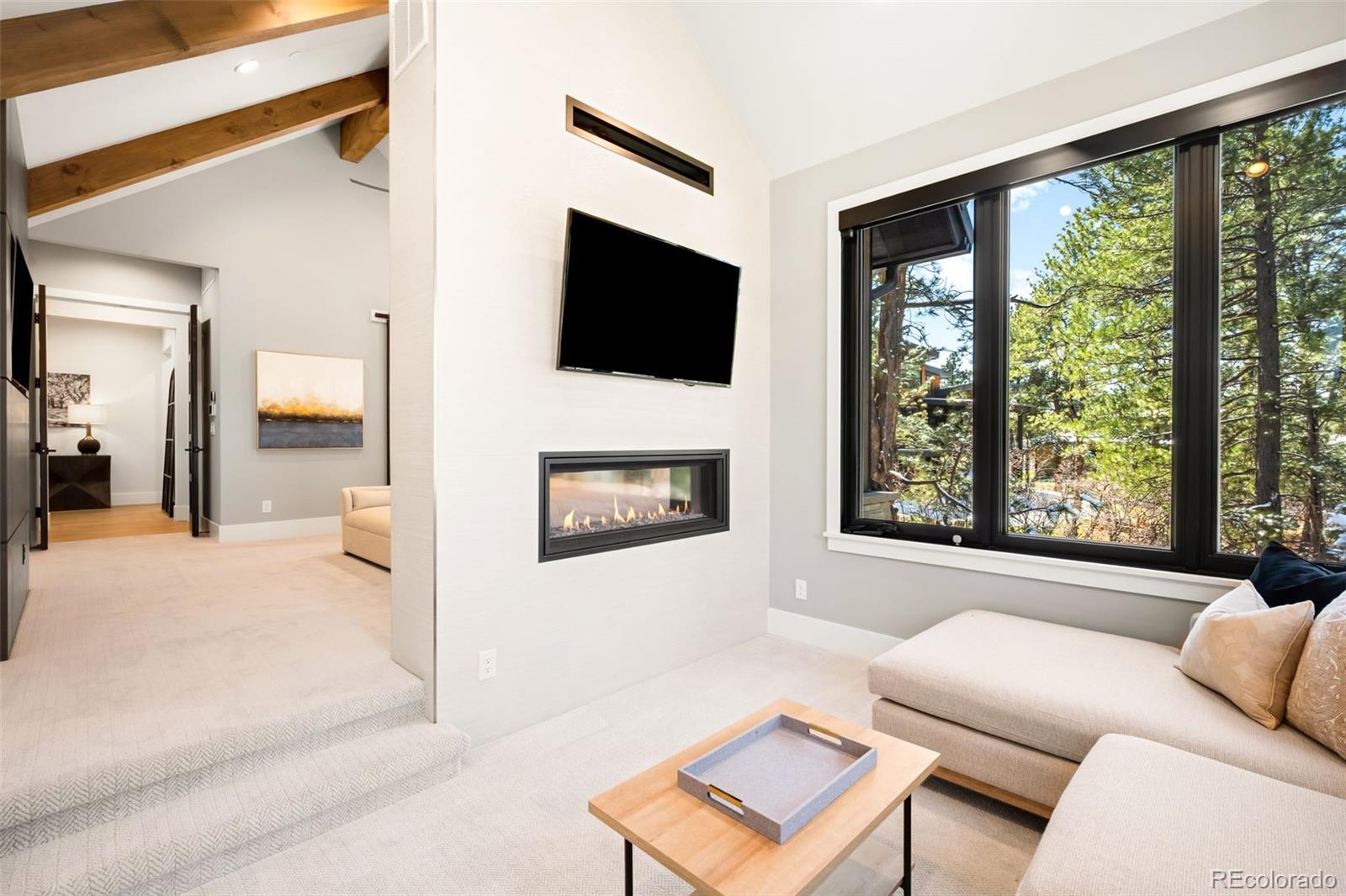 MLS Image #17 for 1151  country club parkway,castle rock, Colorado