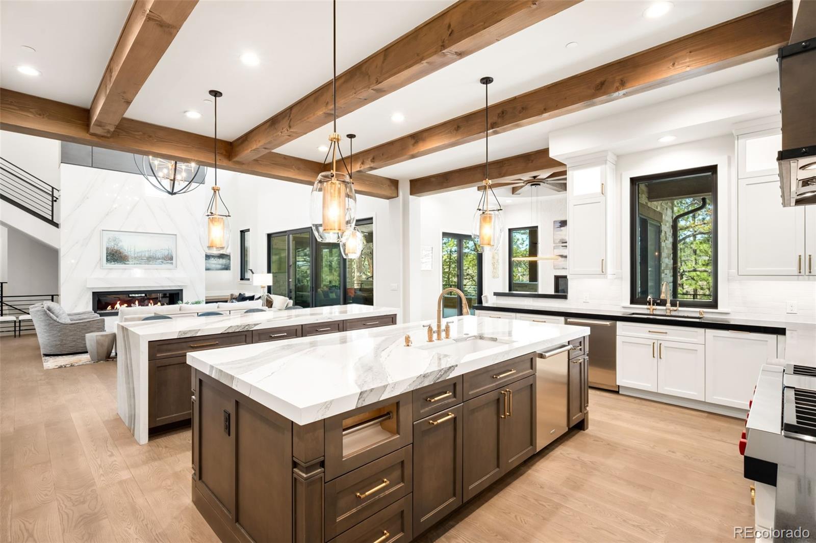 MLS Image #6 for 1151  country club parkway,castle rock, Colorado