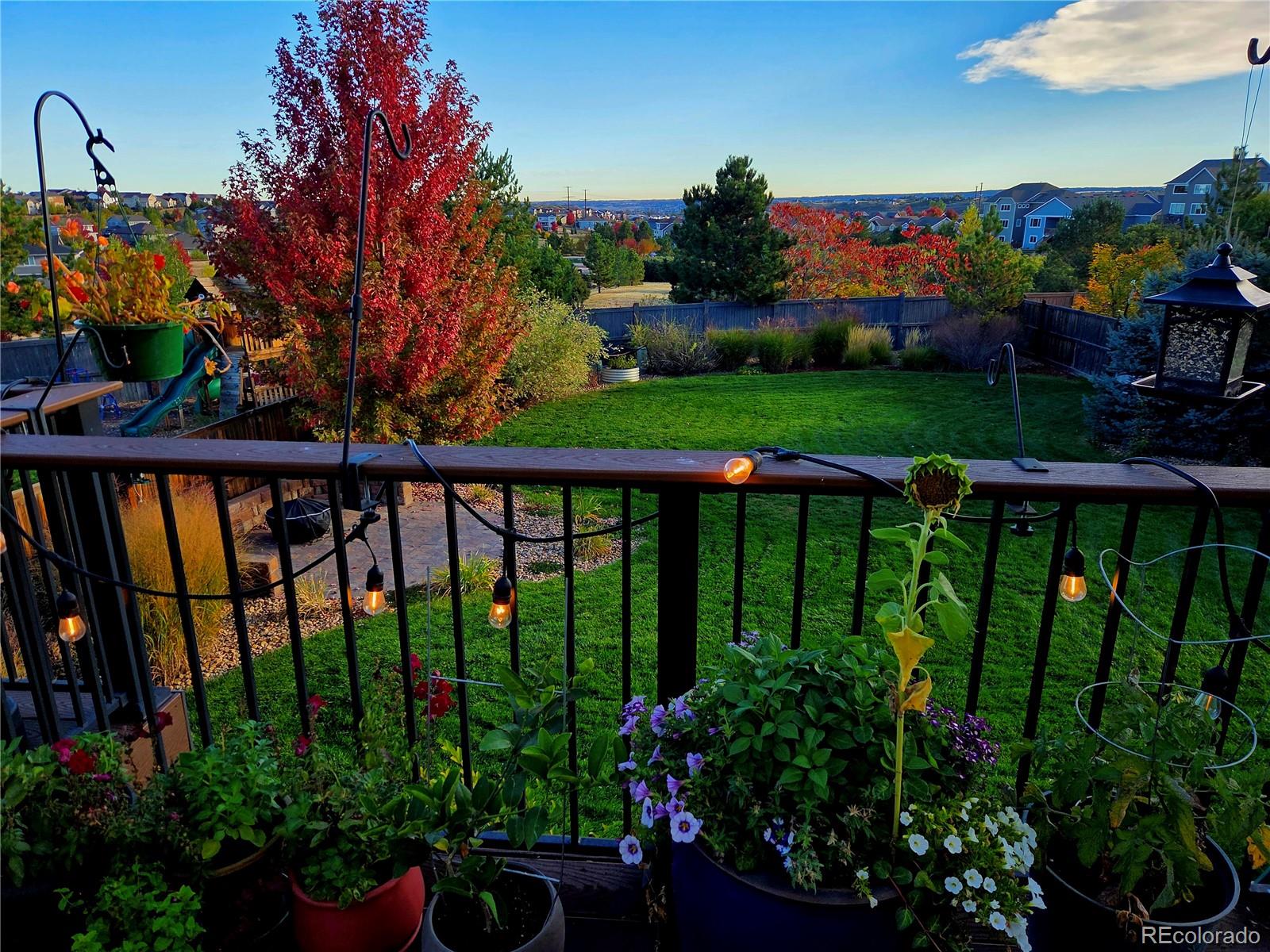 MLS Image #35 for 2568  wild oak drive,castle rock, Colorado