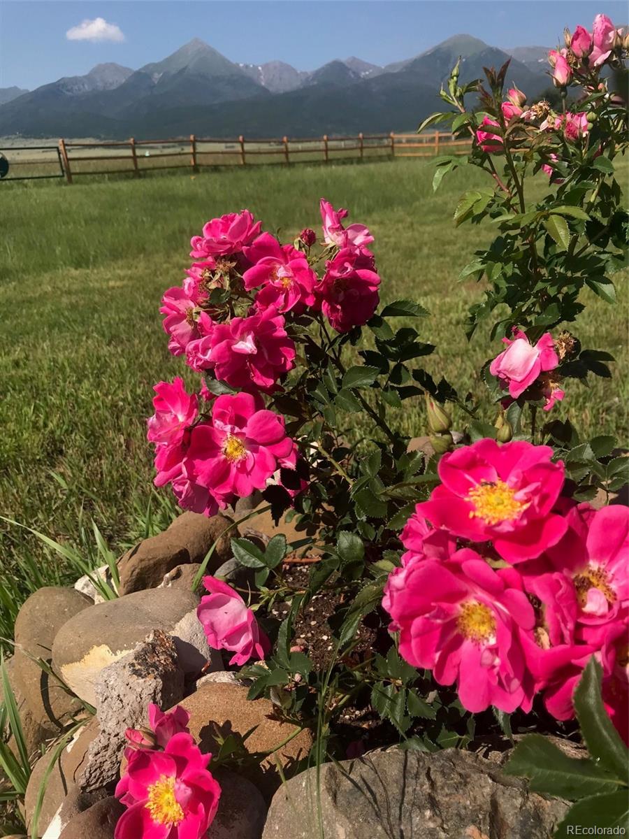 MLS Image #29 for 28  county road 136 ,westcliffe, Colorado