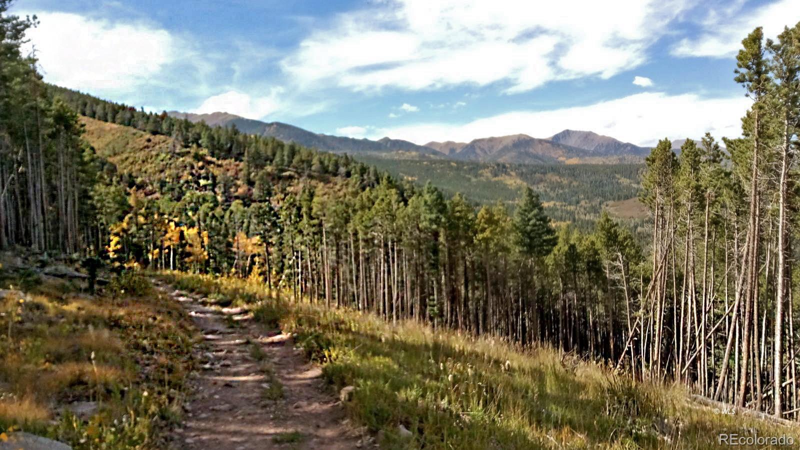 MLS Image #38 for 28  county road 136 ,westcliffe, Colorado