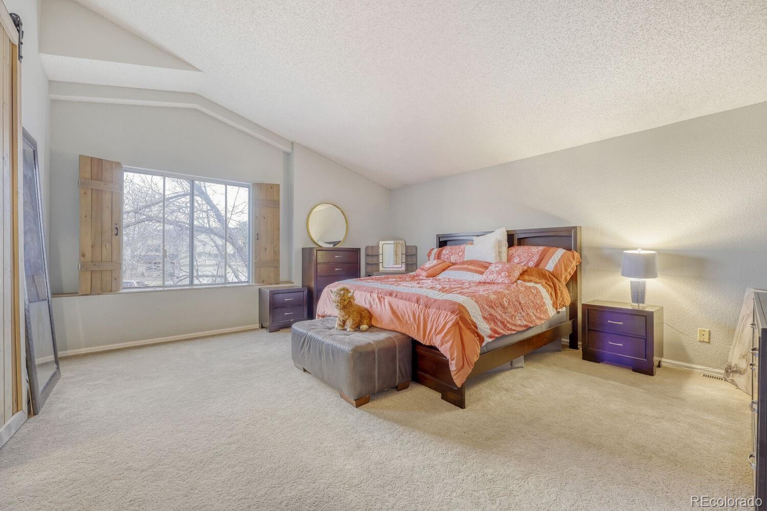 MLS Image #11 for 11760  eudora court,thornton, Colorado