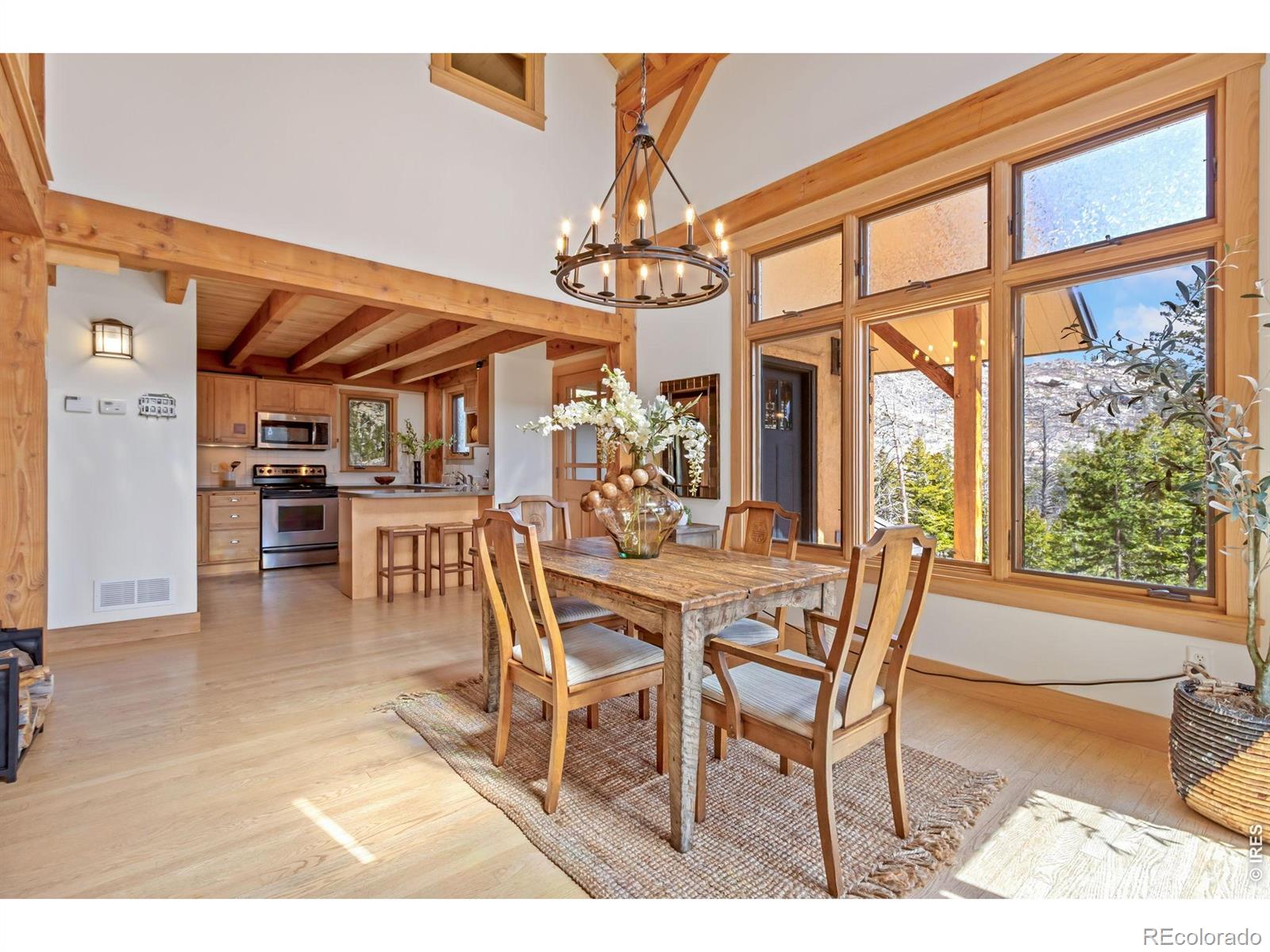 MLS Image #17 for 520  isaac lane,bellvue, Colorado