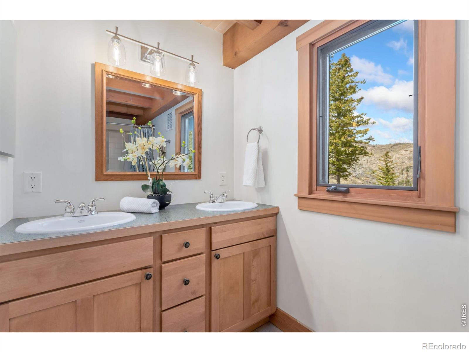 MLS Image #23 for 520  isaac lane,bellvue, Colorado