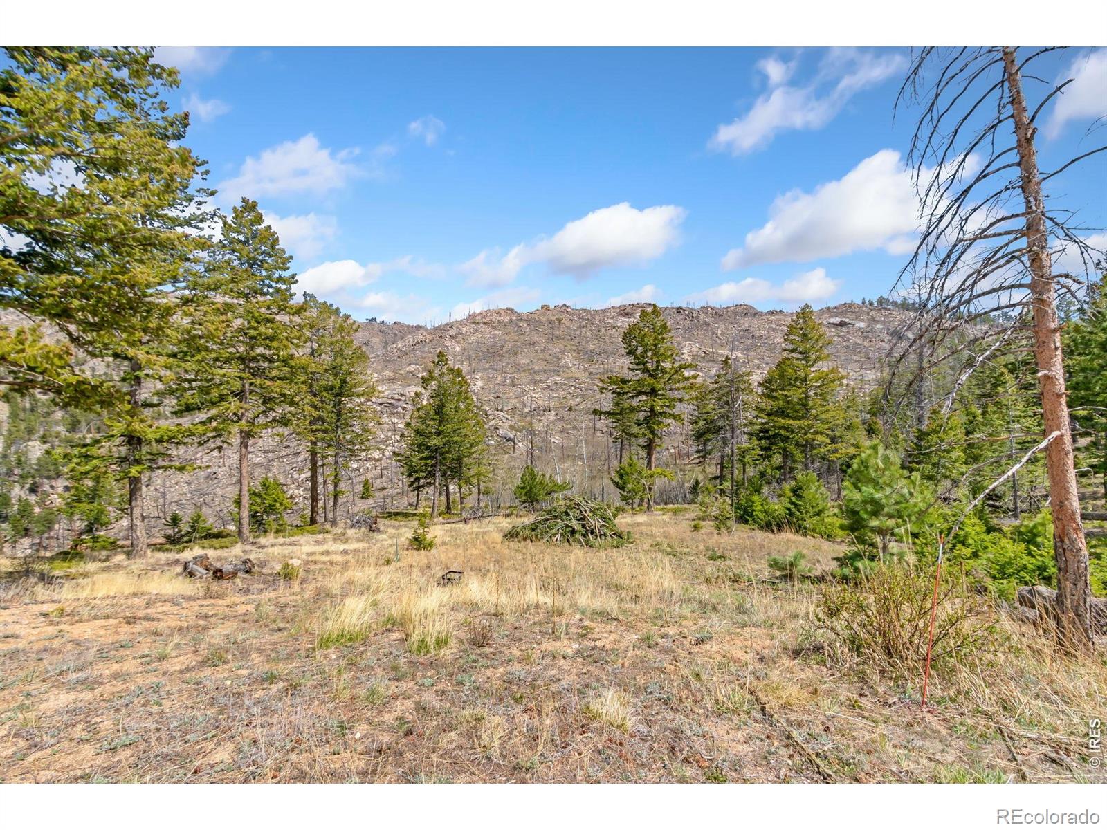 MLS Image #37 for 520  isaac lane,bellvue, Colorado