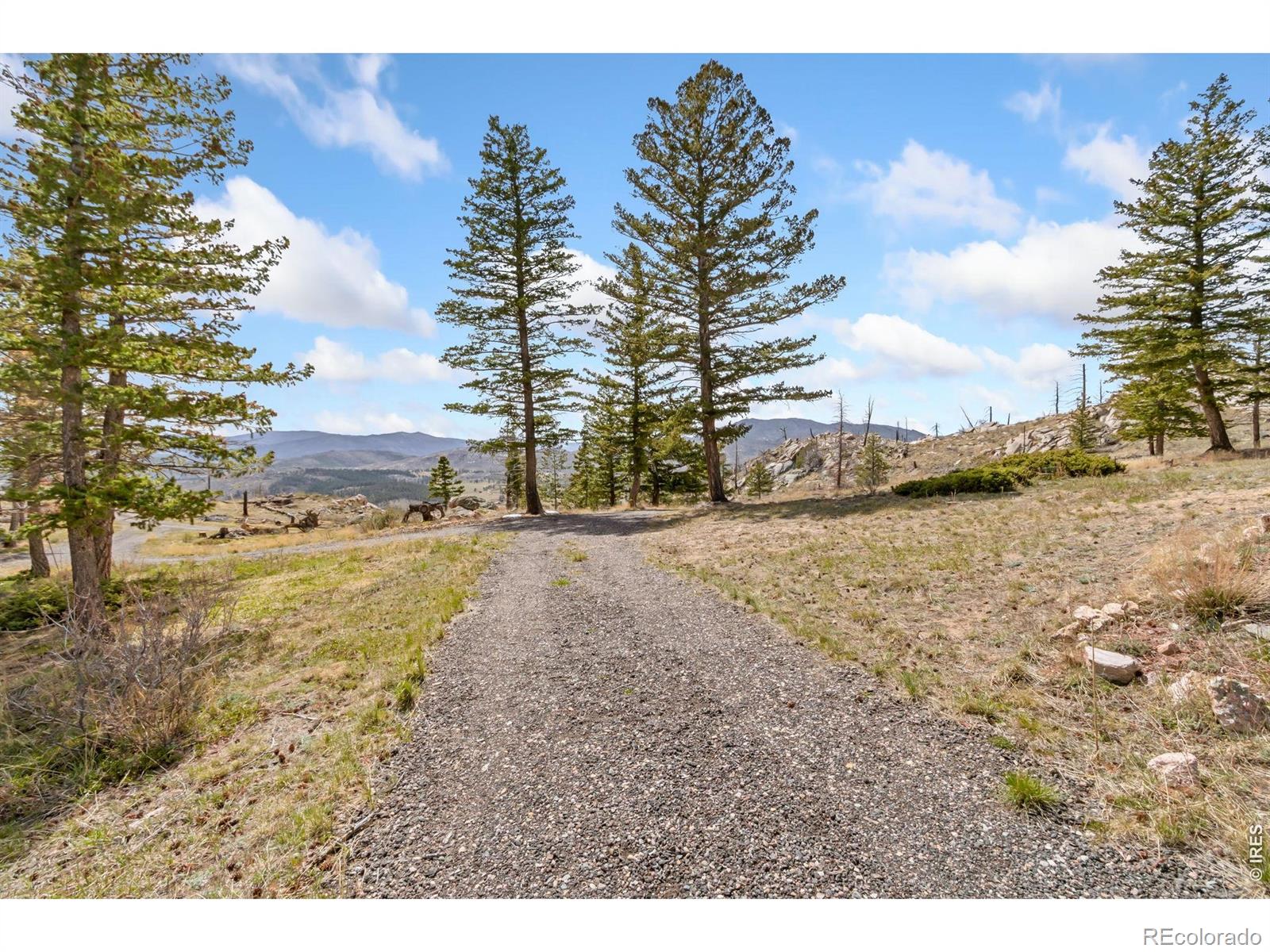 MLS Image #40 for 520  isaac lane,bellvue, Colorado
