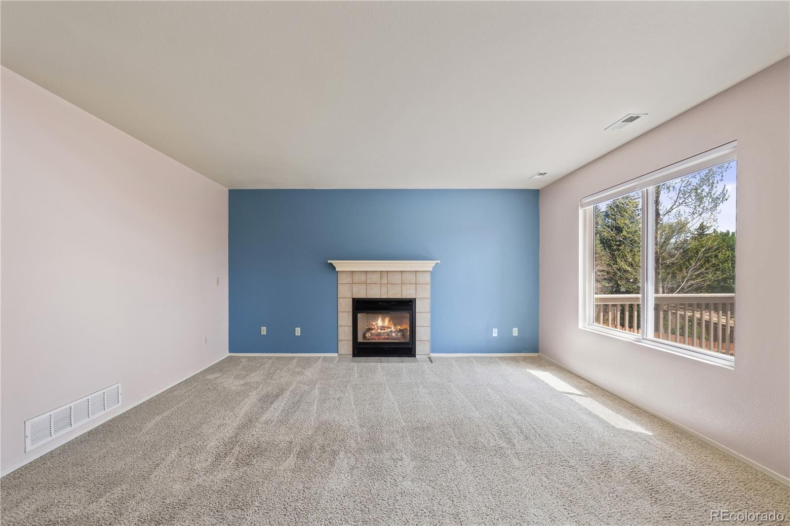 MLS Image #16 for 8049  cooper river drive,colorado springs, Colorado