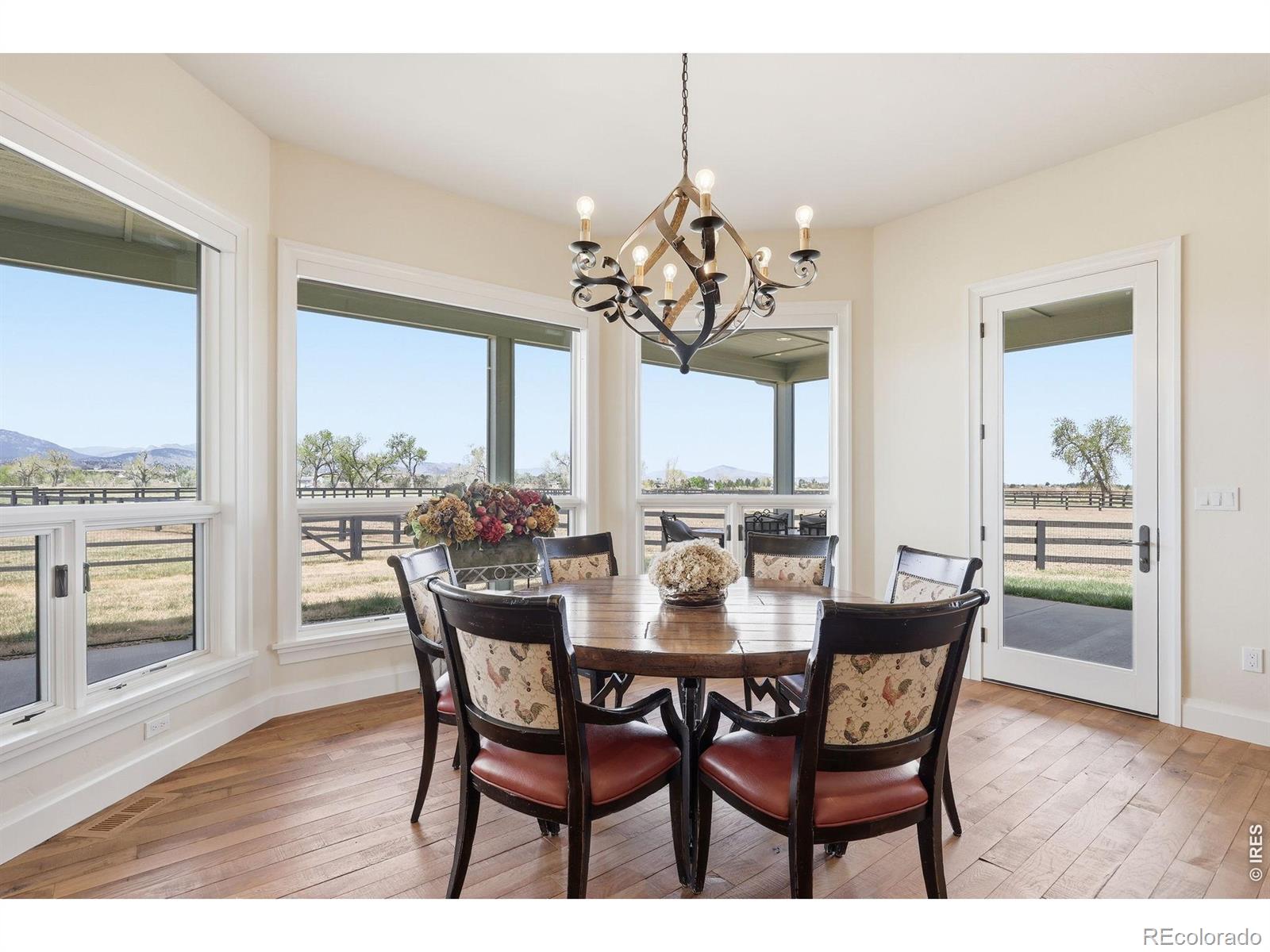 MLS Image #6 for 3901  freedom ranch place,loveland, Colorado