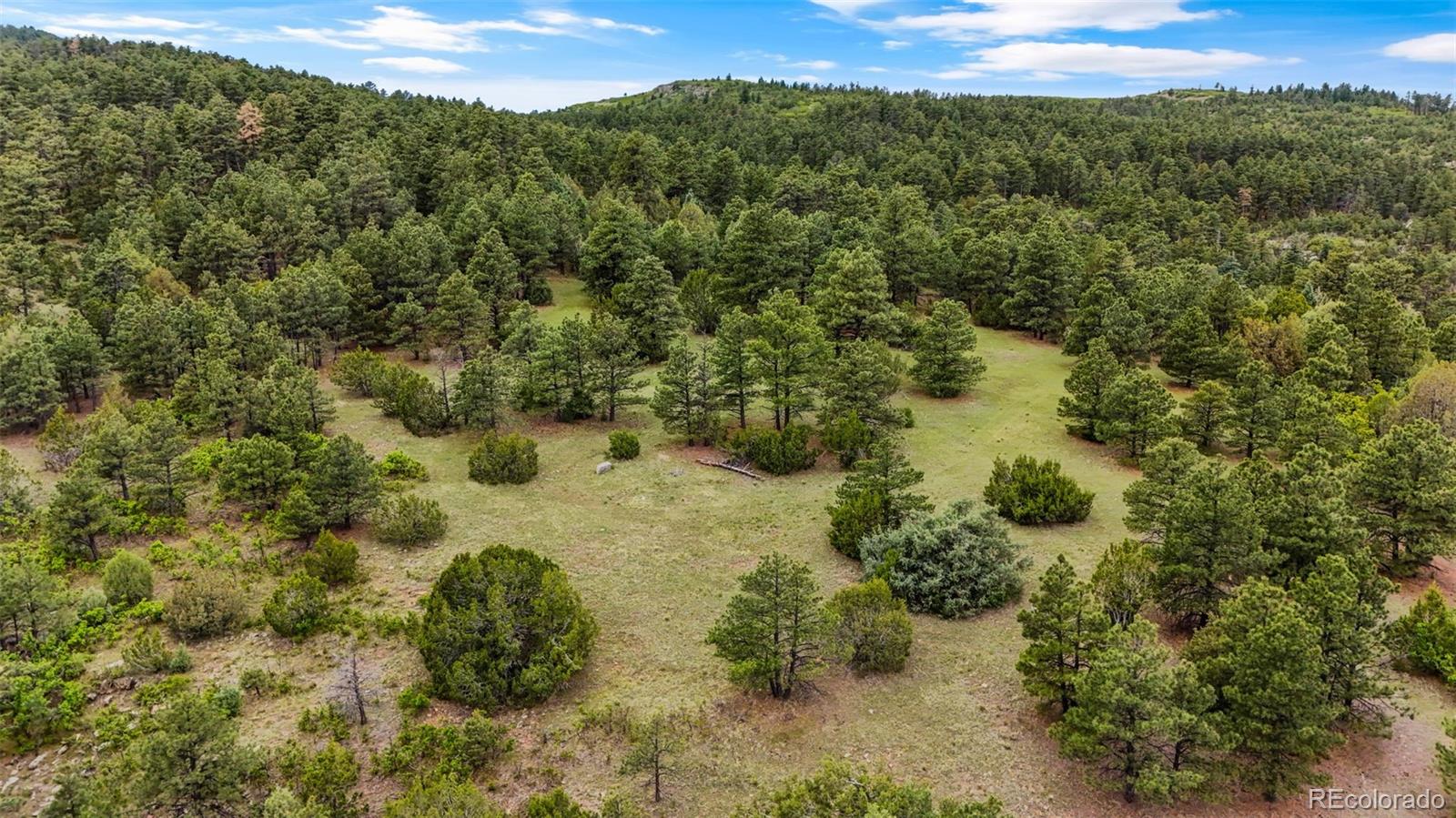 MLS Image #47 for 8716  national forest drive,beulah, Colorado