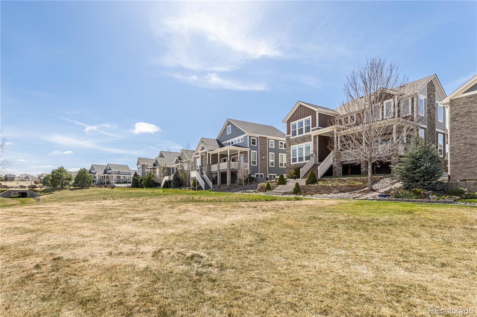 MLS Image #2 for 4378  fell mist way,castle rock, Colorado