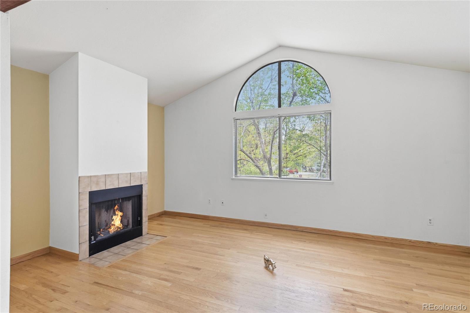 MLS Image #7 for 5510  stonewall place,boulder, Colorado