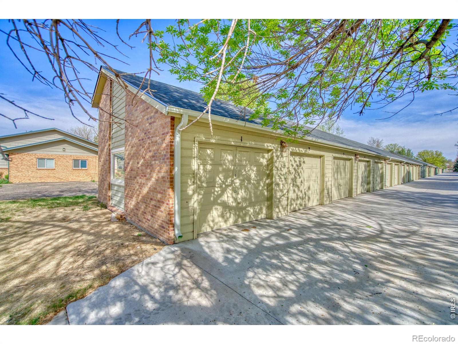 MLS Image #4 for 50  19th avenue,longmont, Colorado
