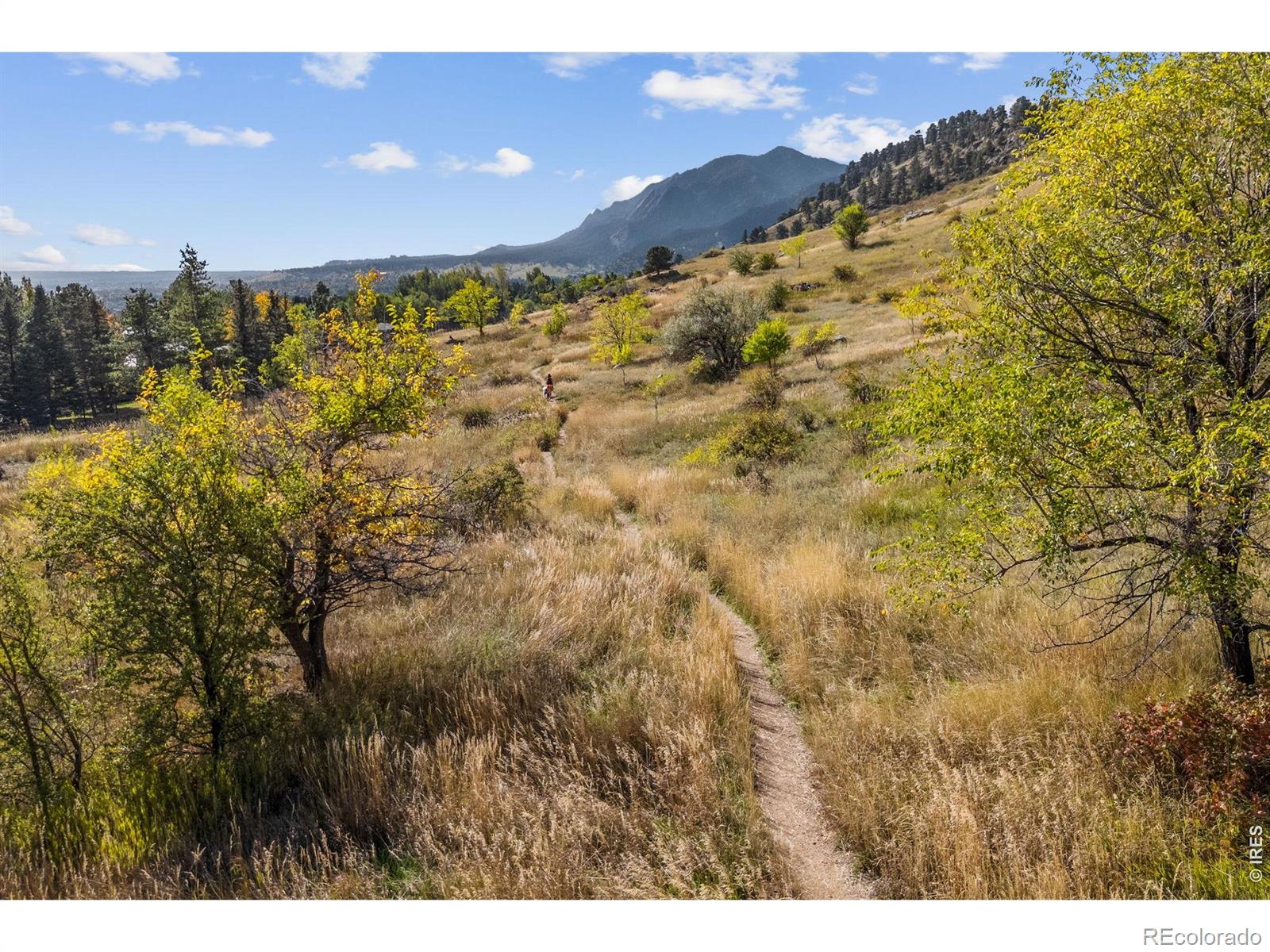 MLS Image #3 for 255  linden drive,boulder, Colorado