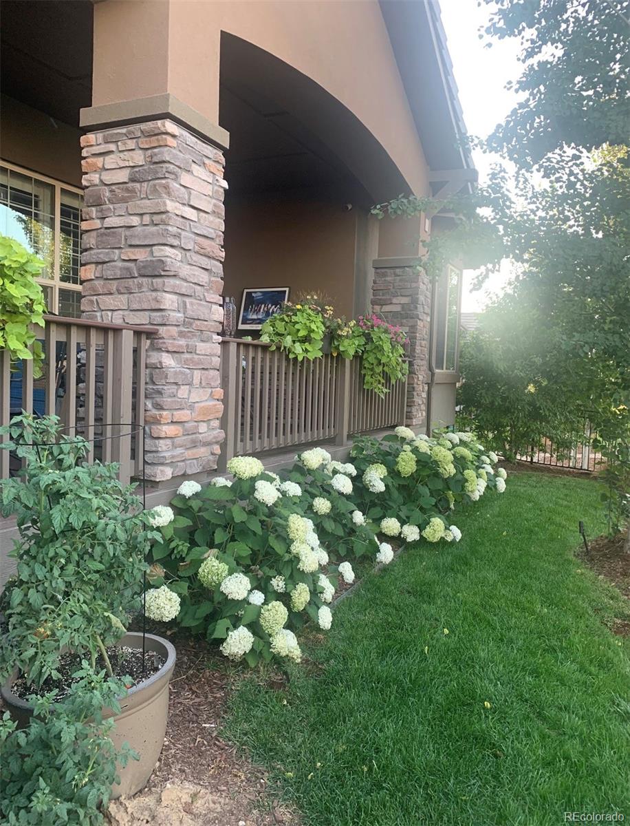 MLS Image #29 for 15828  esprit run,broomfield, Colorado