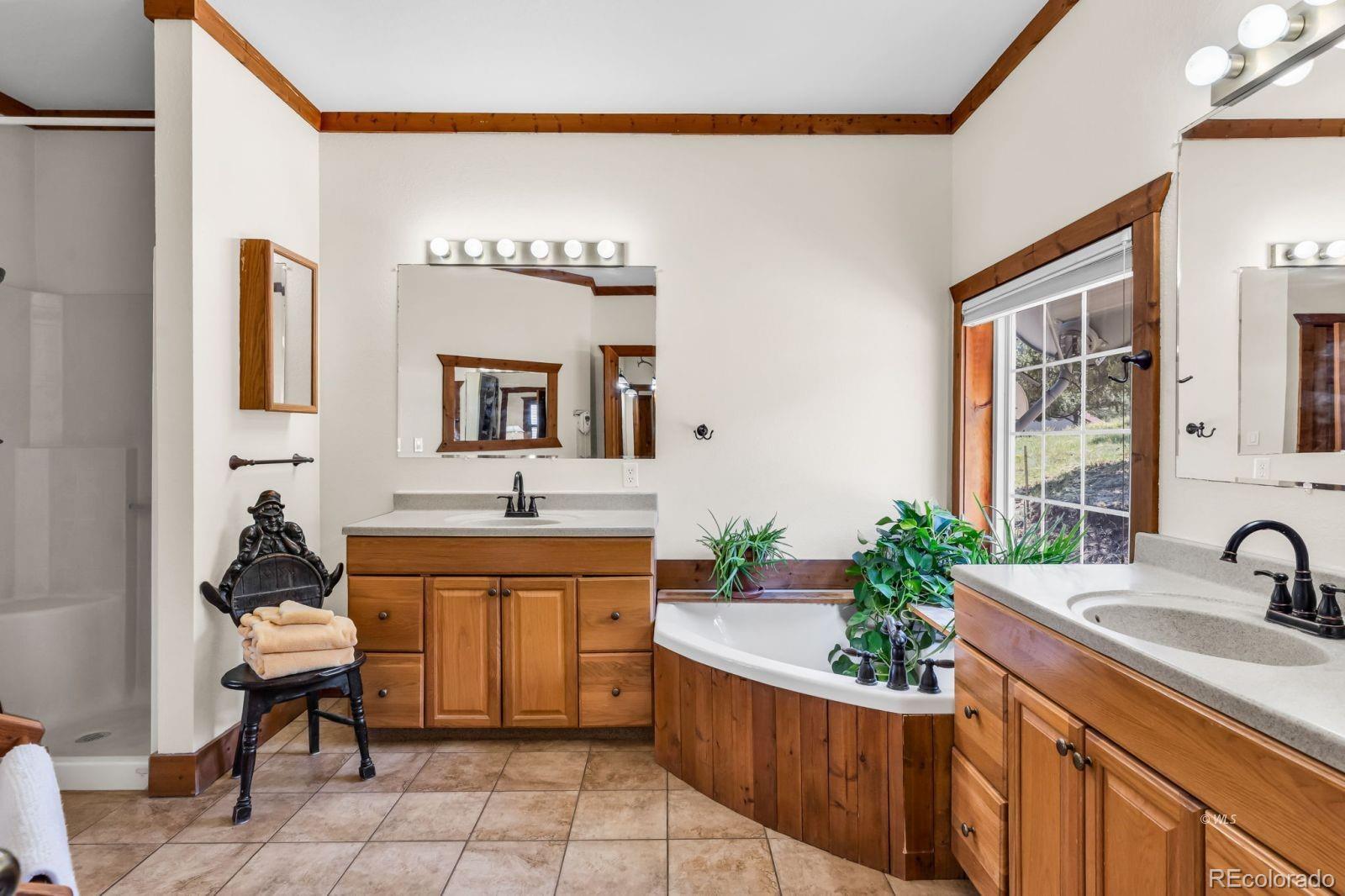 MLS Image #17 for 220  rhonda road,westcliffe, Colorado