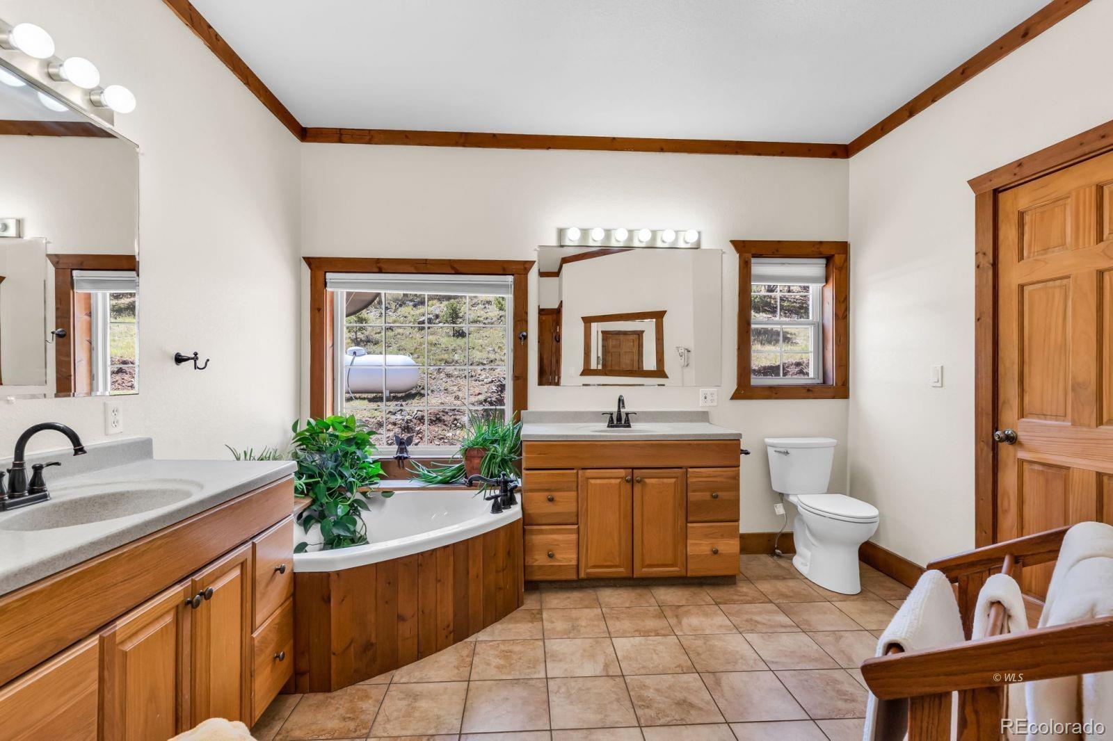 MLS Image #19 for 220  rhonda road,westcliffe, Colorado