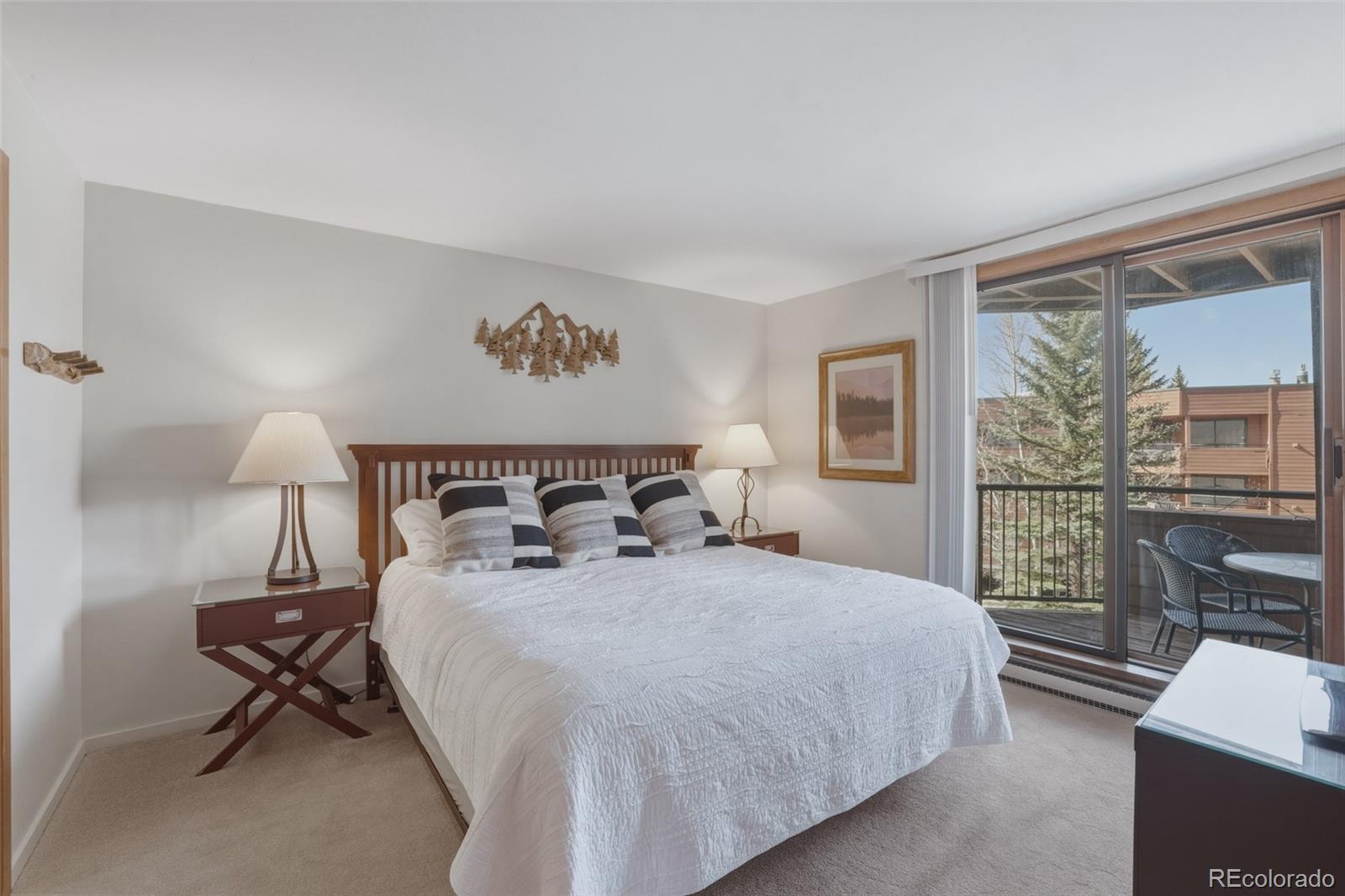 MLS Image #13 for 200 e la bonte street,dillon, Colorado
