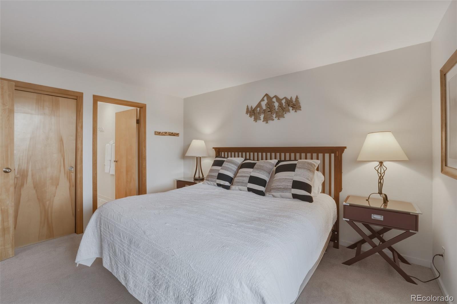 MLS Image #14 for 200 e la bonte street,dillon, Colorado