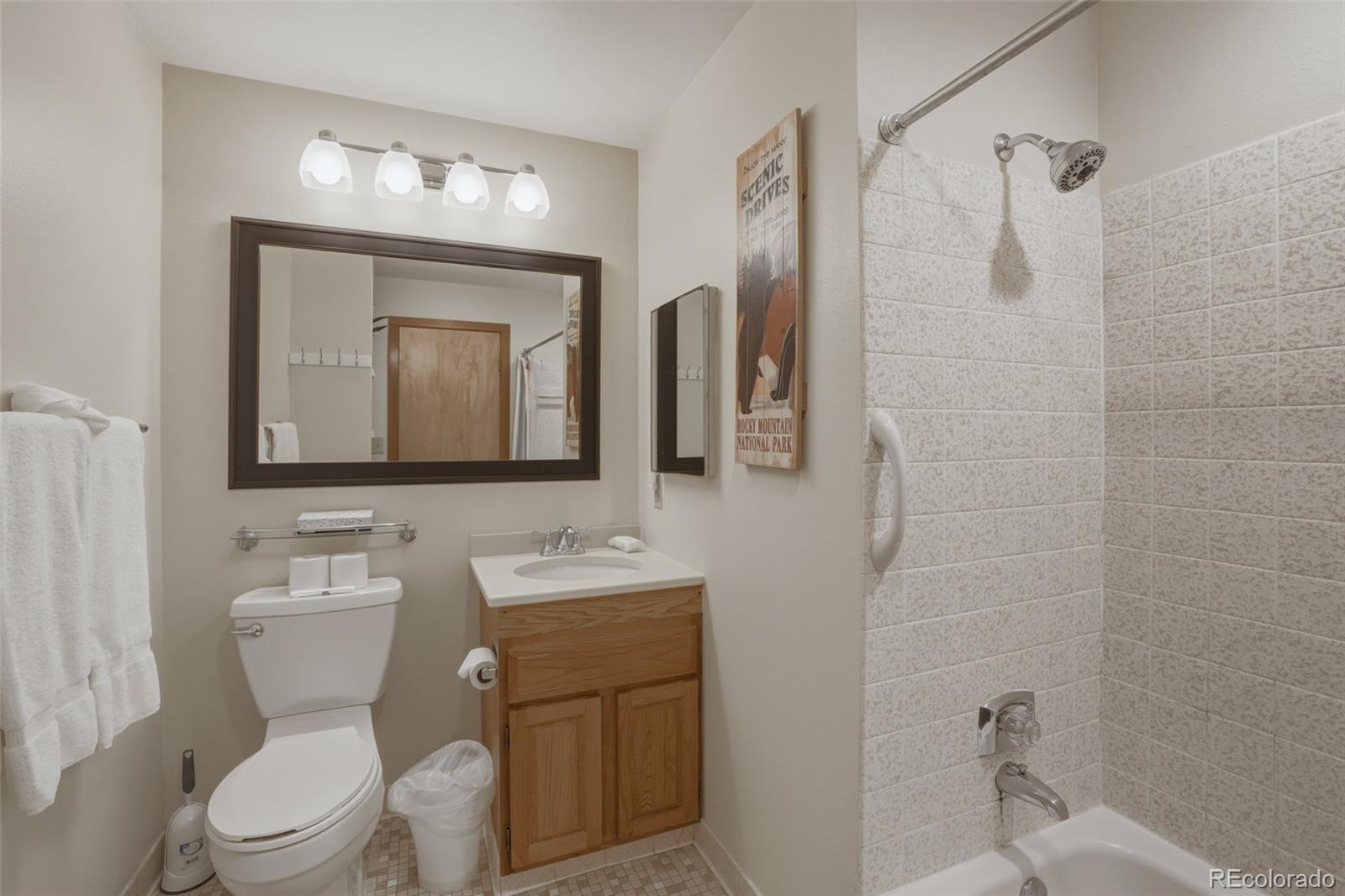 MLS Image #19 for 200 e la bonte street,dillon, Colorado