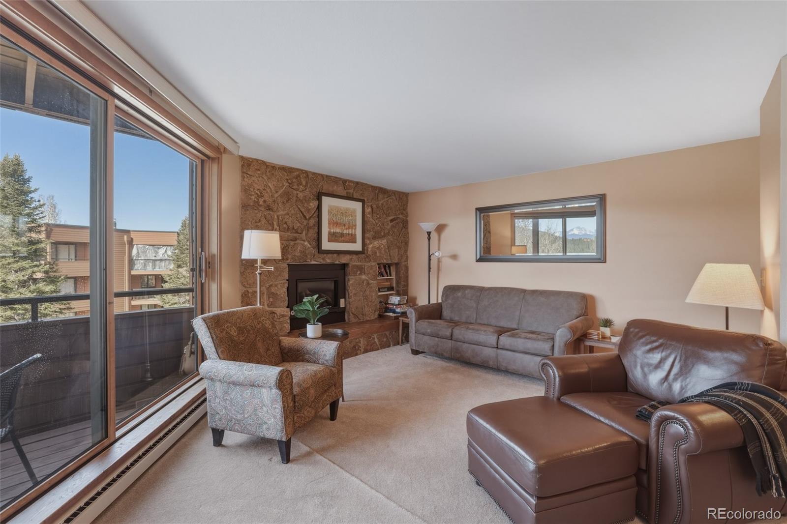 MLS Image #9 for 200 e la bonte street,dillon, Colorado
