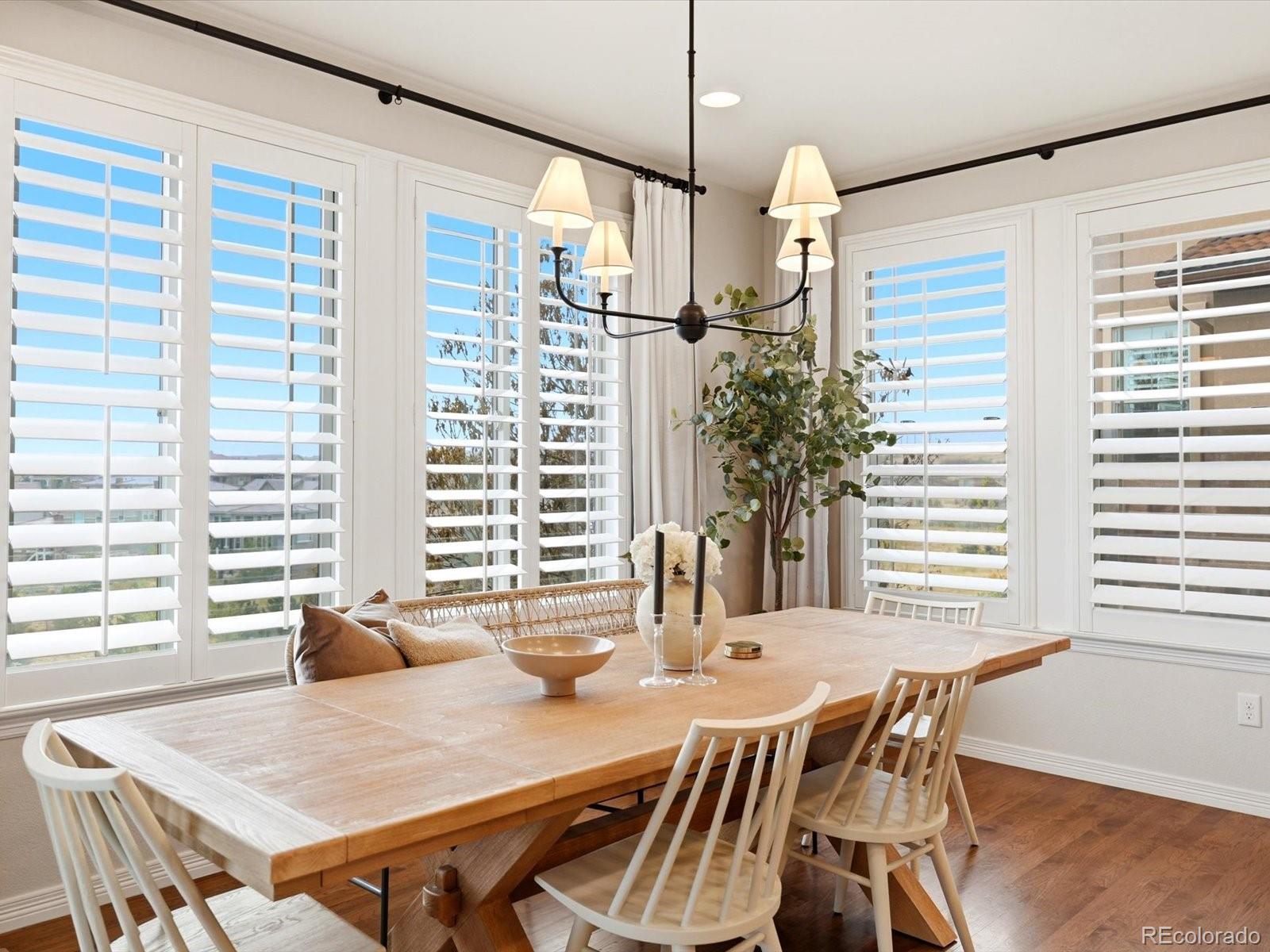 MLS Image #22 for 10718  skydance drive,highlands ranch, Colorado