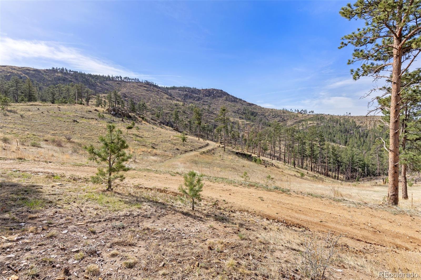 MLS Image #31 for 2205  james park trail,loveland, Colorado