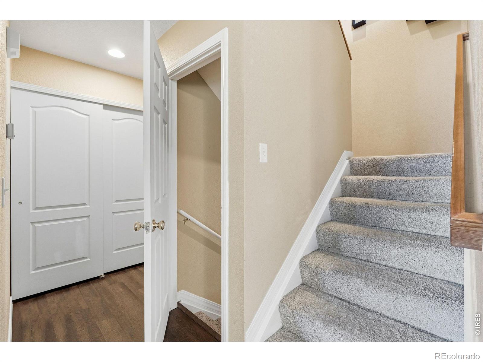 MLS Image #20 for 930  button rock drive,longmont, Colorado