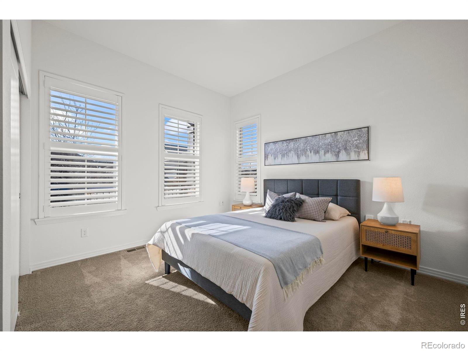 MLS Image #21 for 4425  angelina circle,longmont, Colorado