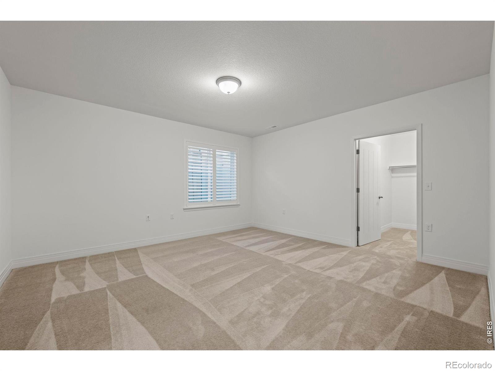 MLS Image #26 for 4425  angelina circle,longmont, Colorado